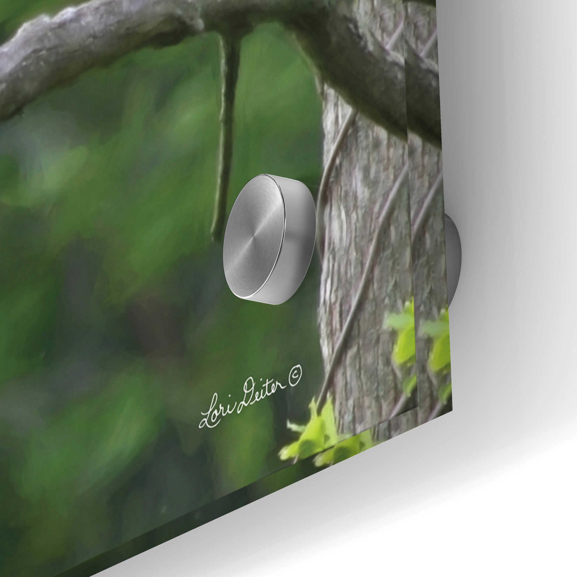 Epic Art 'Visitor from Heaven' by Lori Deiter Acrylic Glass Wall Art,48x24