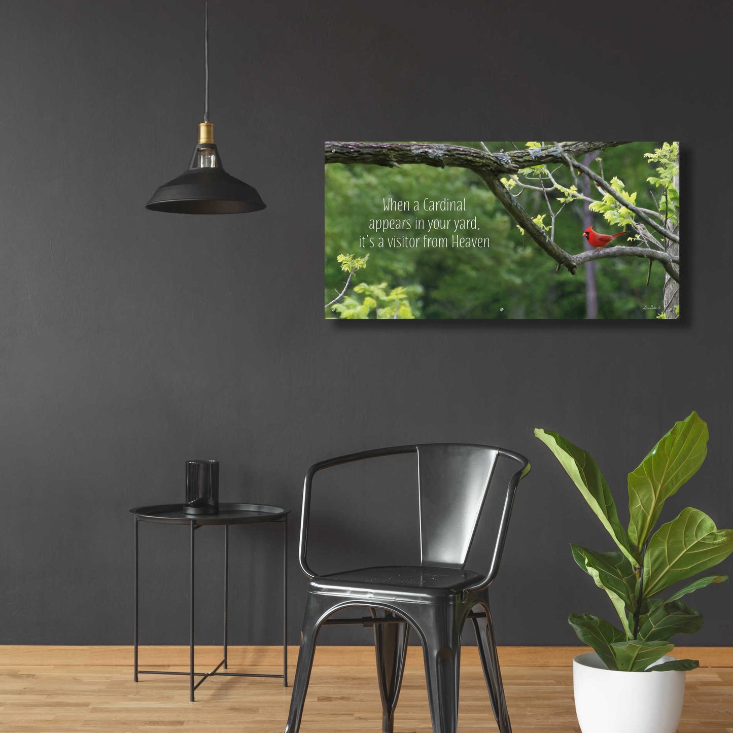 Epic Art 'Visitor from Heaven' by Lori Deiter Acrylic Glass Wall Art,48x24