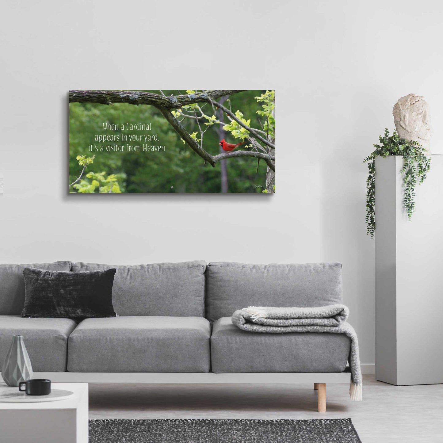 Epic Art 'Visitor from Heaven' by Lori Deiter Acrylic Glass Wall Art,48x24