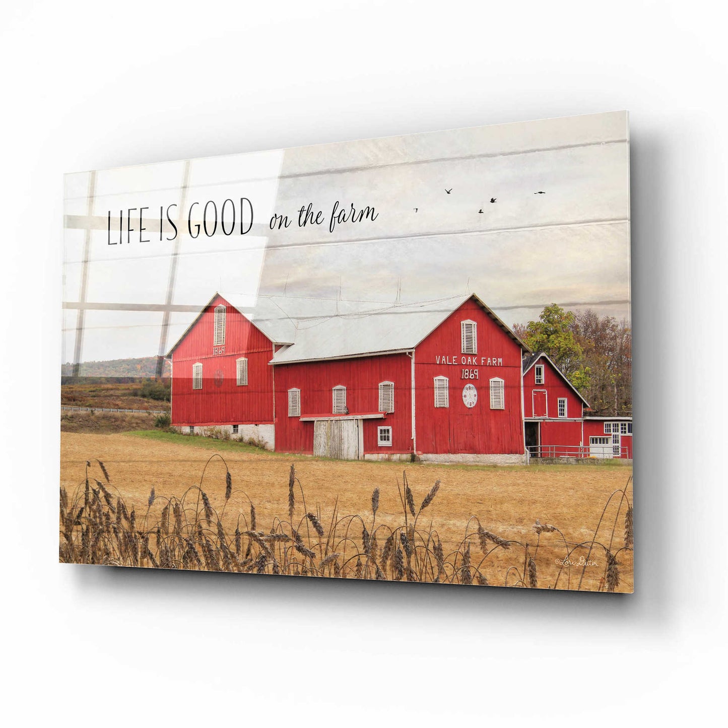 Epic Art 'Life is Good on the Farm' by Lori Deiter Acrylic Glass Wall Art,16x12