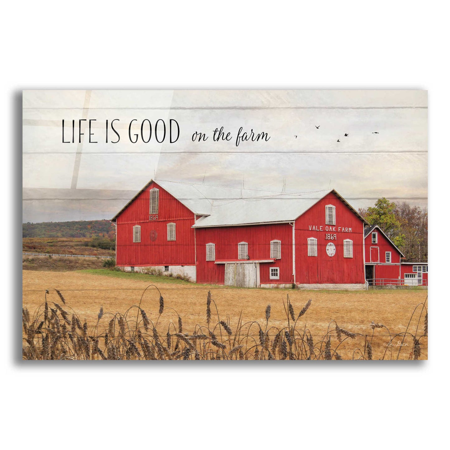 Epic Art 'Life is Good on the Farm' by Lori Deiter Acrylic Glass Wall Art,16x12