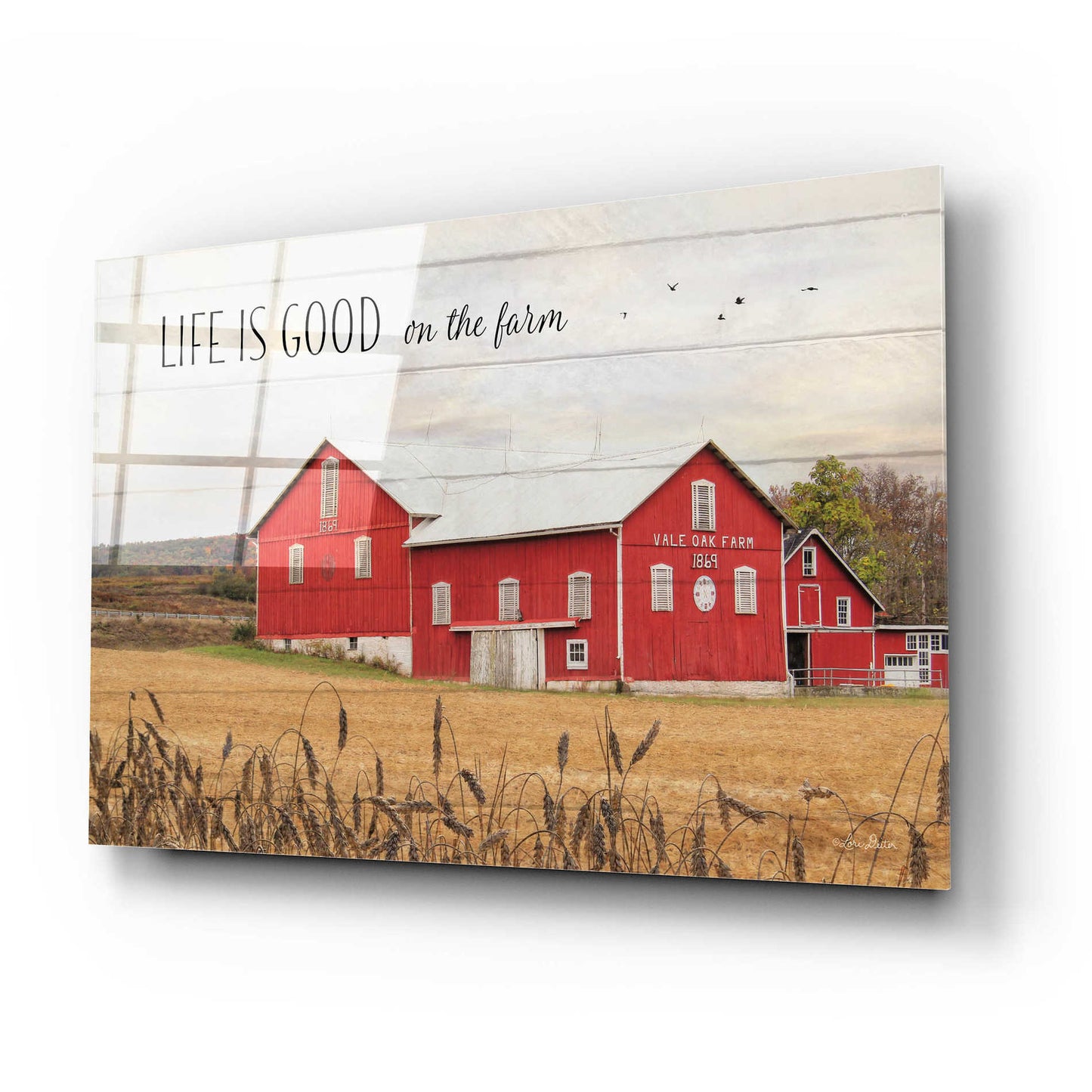 Epic Art 'Life is Good on the Farm' by Lori Deiter Acrylic Glass Wall Art,24x16