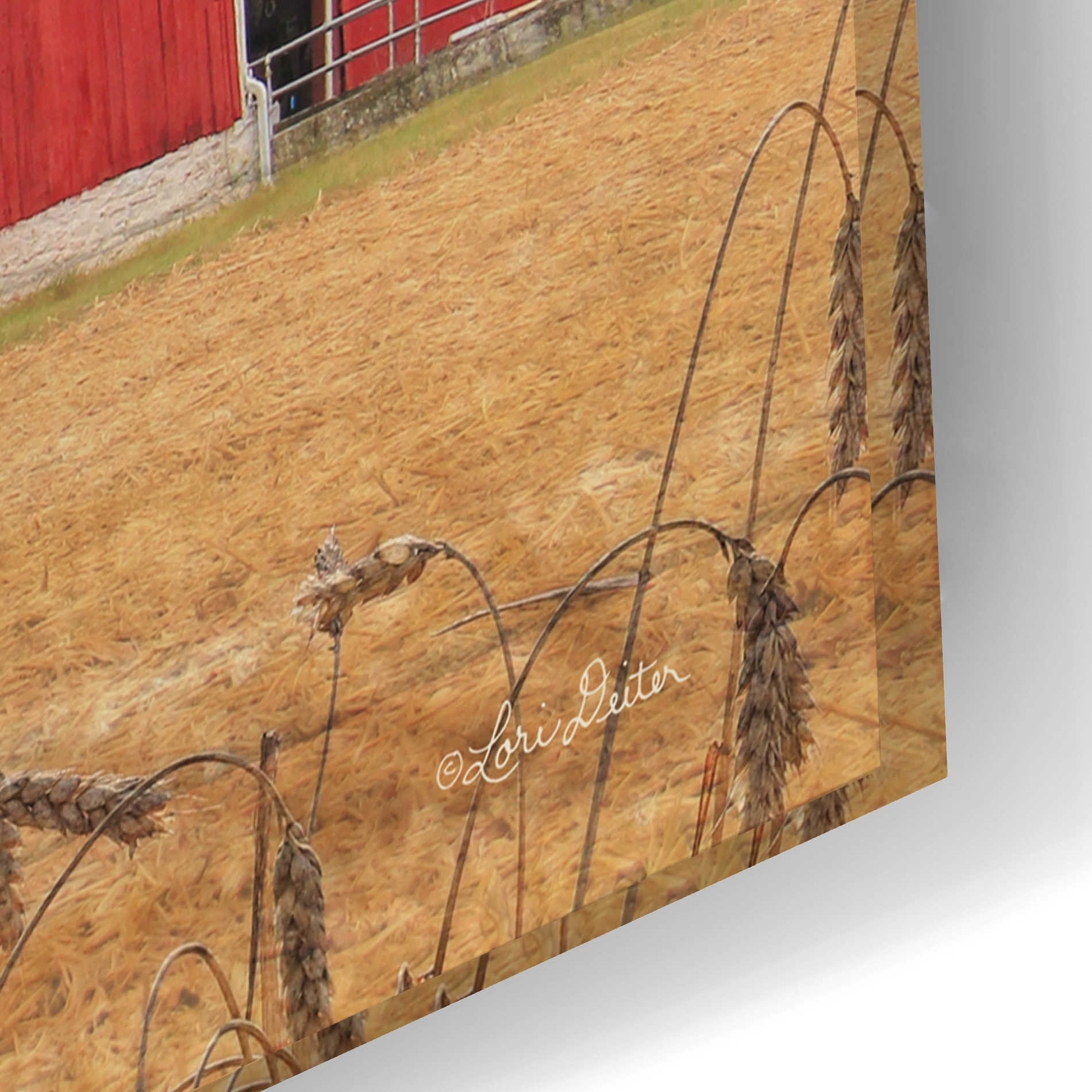 Epic Art 'Life is Good on the Farm' by Lori Deiter Acrylic Glass Wall Art,24x16