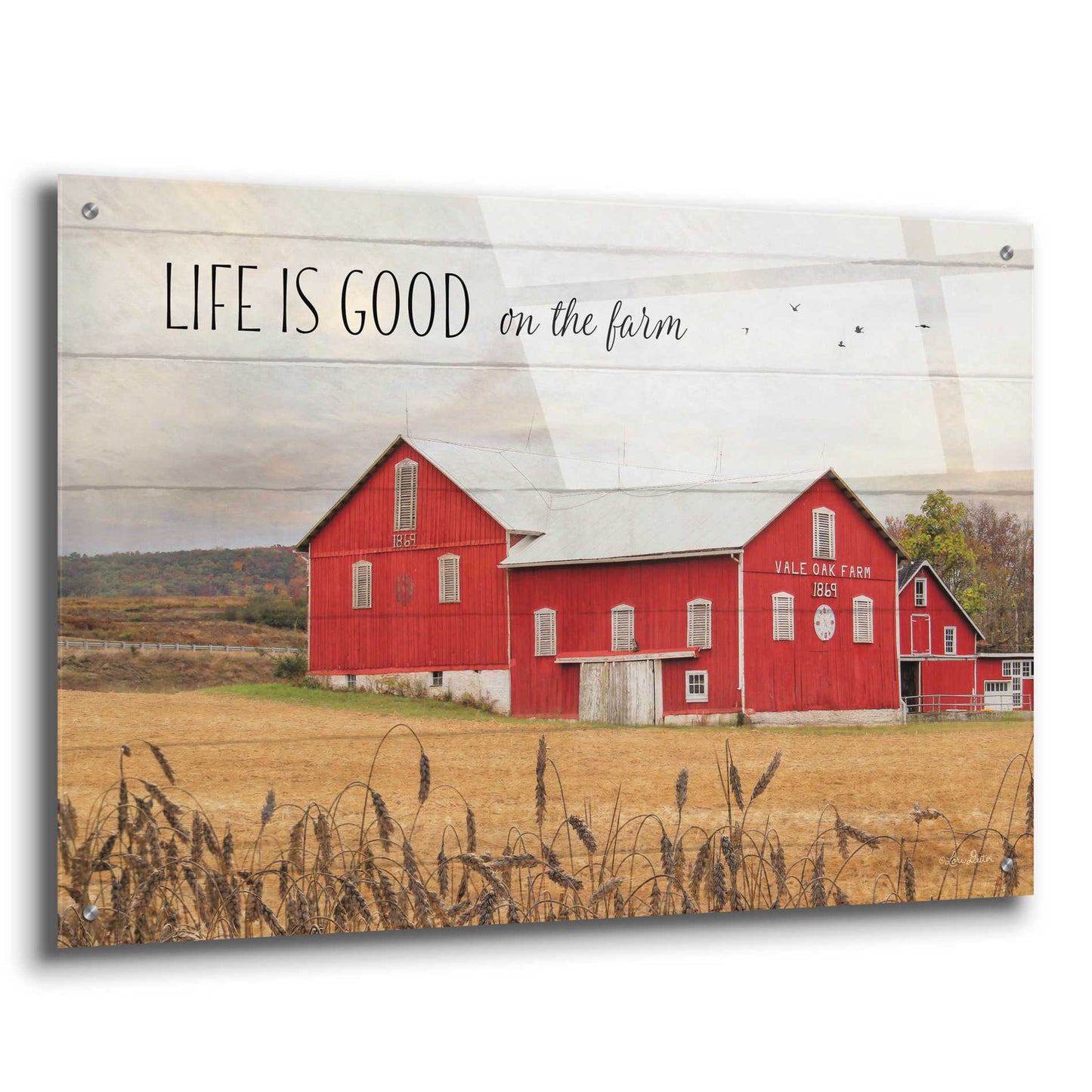 Epic Art 'Life is Good on the Farm' by Lori Deiter Acrylic Glass Wall Art,36x24