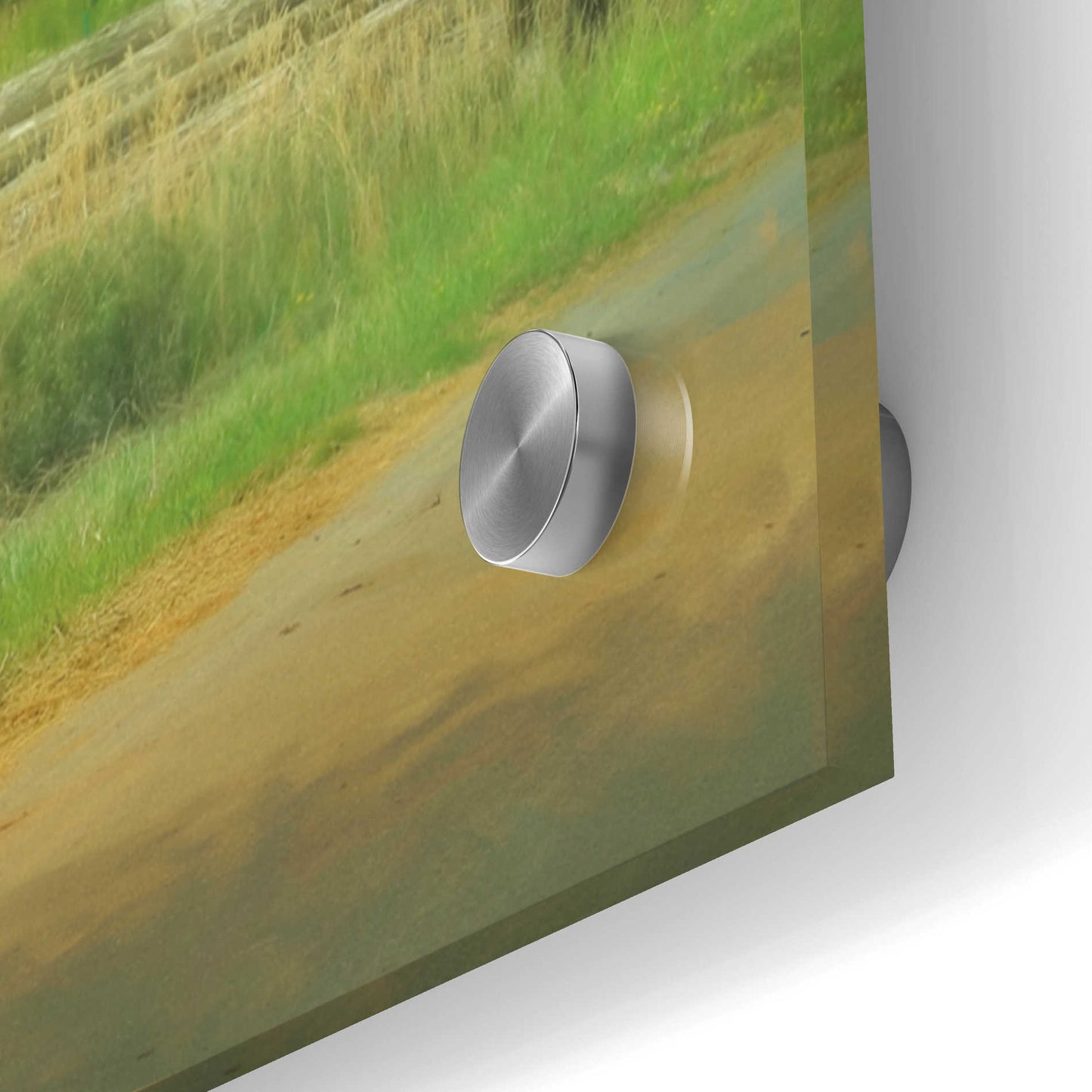 Epic Art 'Amish Barefoot Farmer' by Lori Deiter Acrylic Glass Wall Art,48x16