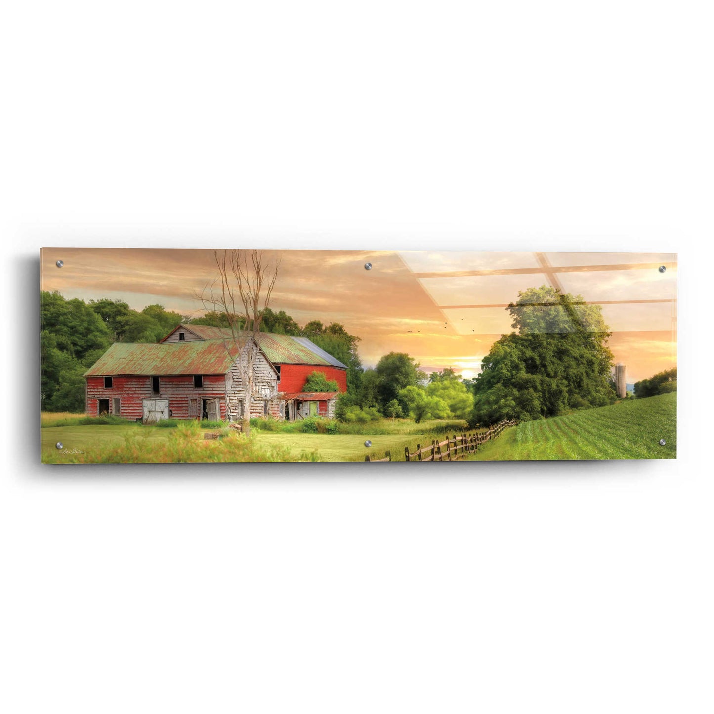 Epic Art 'Greener Pastures' by Lori Deiter Acrylic Glass Wall Art,48x16