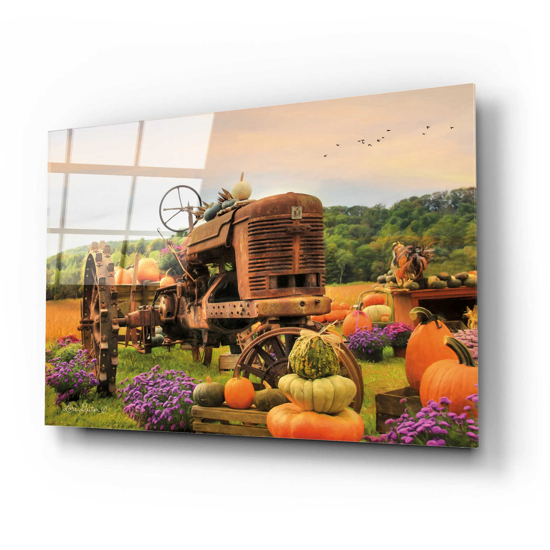 Epic Art 'The Harvester' by Lori Deiter Acrylic Glass Wall Art,24x16