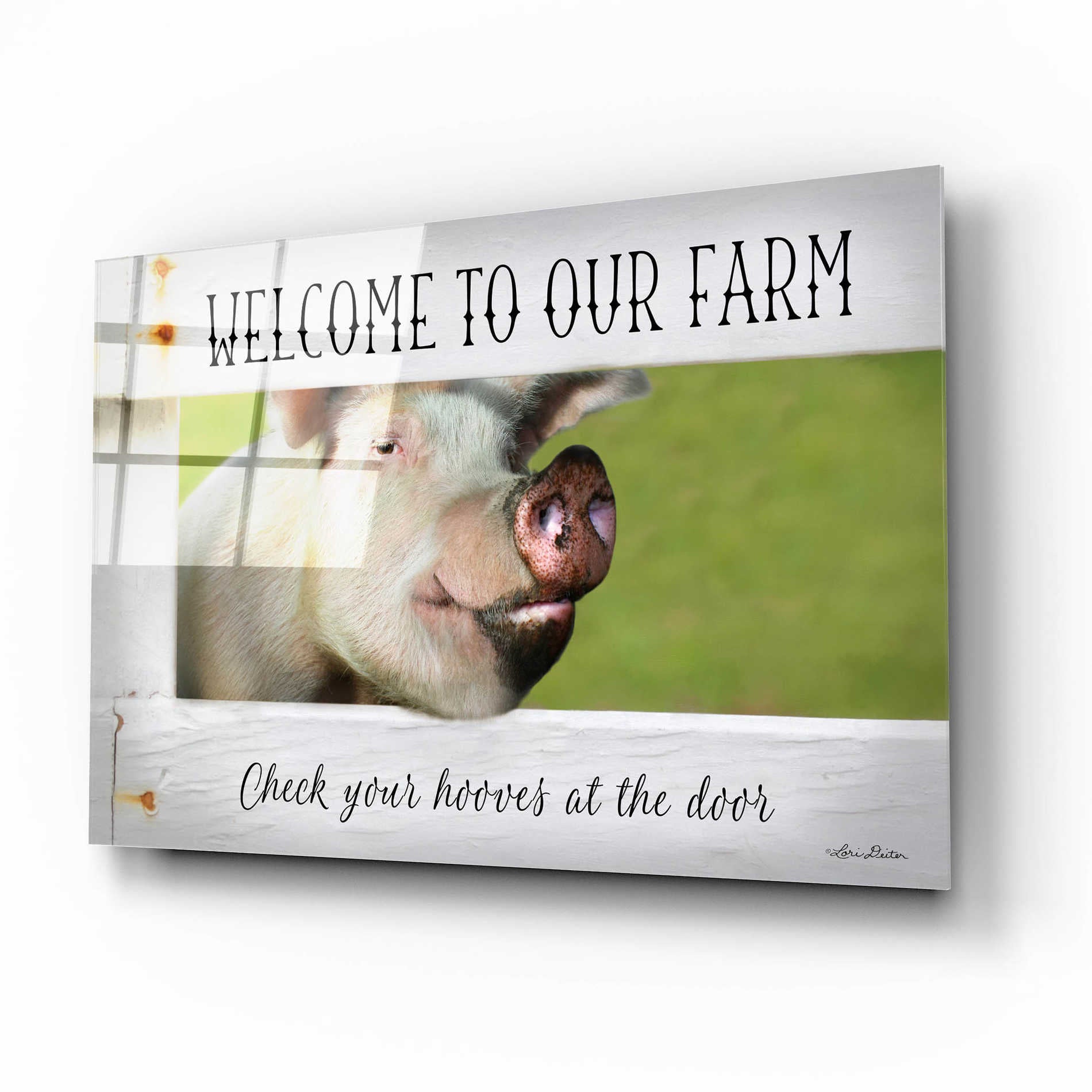 Epic Art 'Welcome Pig' by Lori Deiter Acrylic Glass Wall Art,16x12
