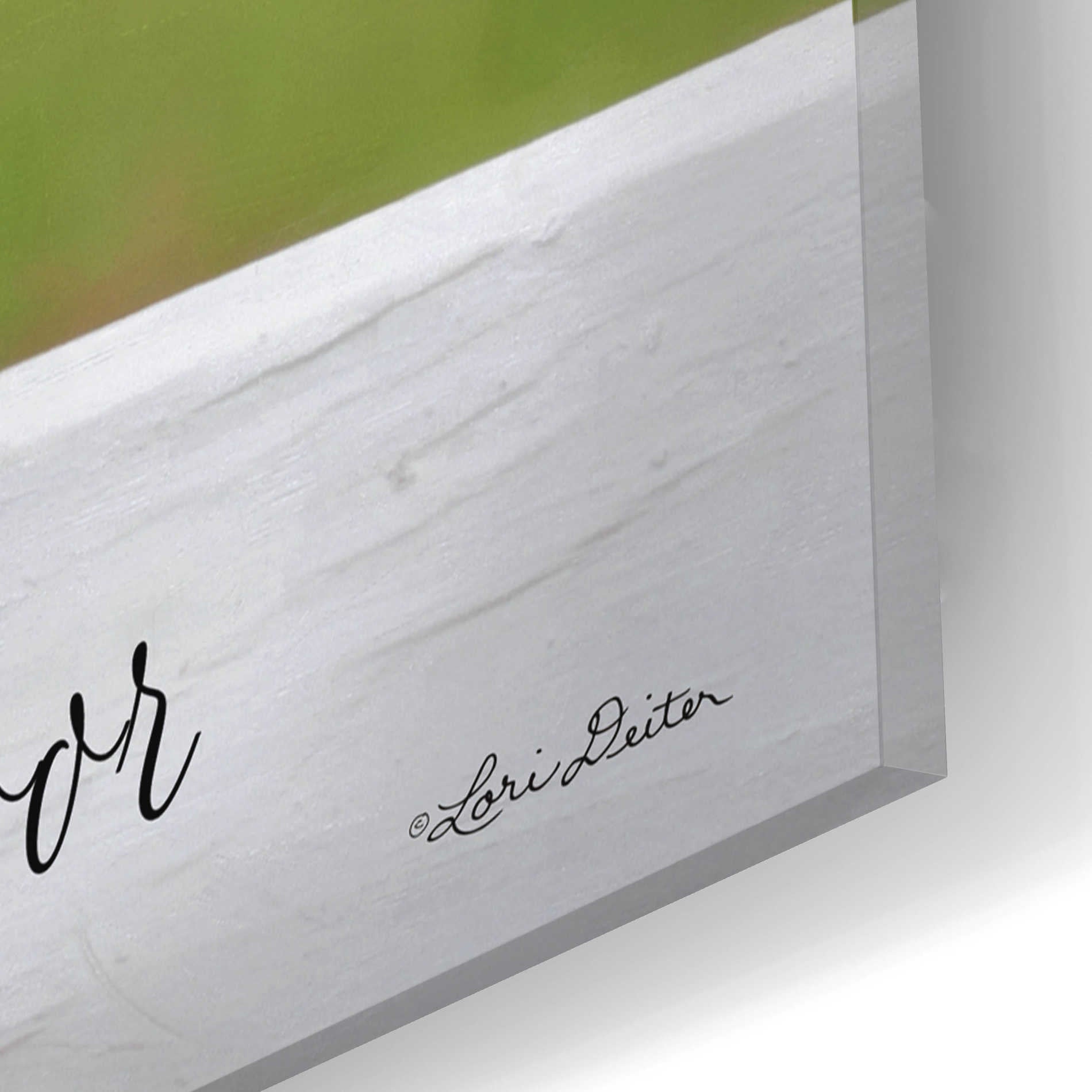 Epic Art 'Welcome Pig' by Lori Deiter Acrylic Glass Wall Art,16x12