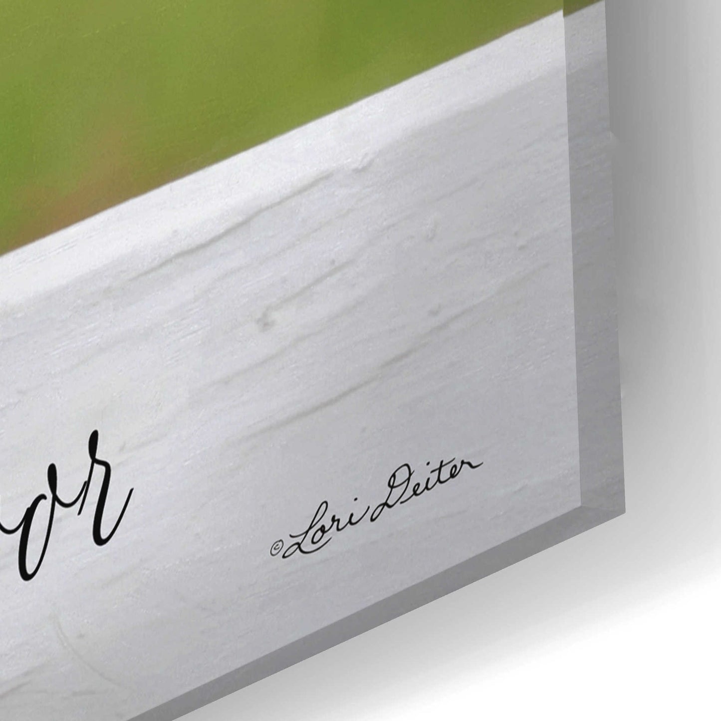 Epic Art 'Welcome Pig' by Lori Deiter Acrylic Glass Wall Art,24x16