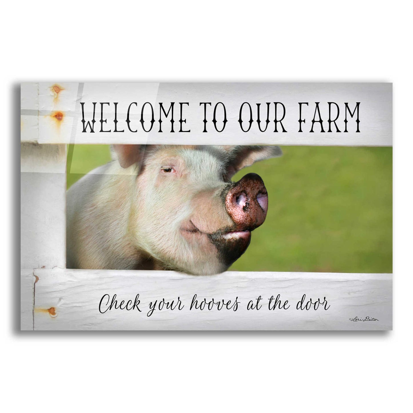 Epic Art 'Welcome Pig' by Lori Deiter Acrylic Glass Wall Art,24x16