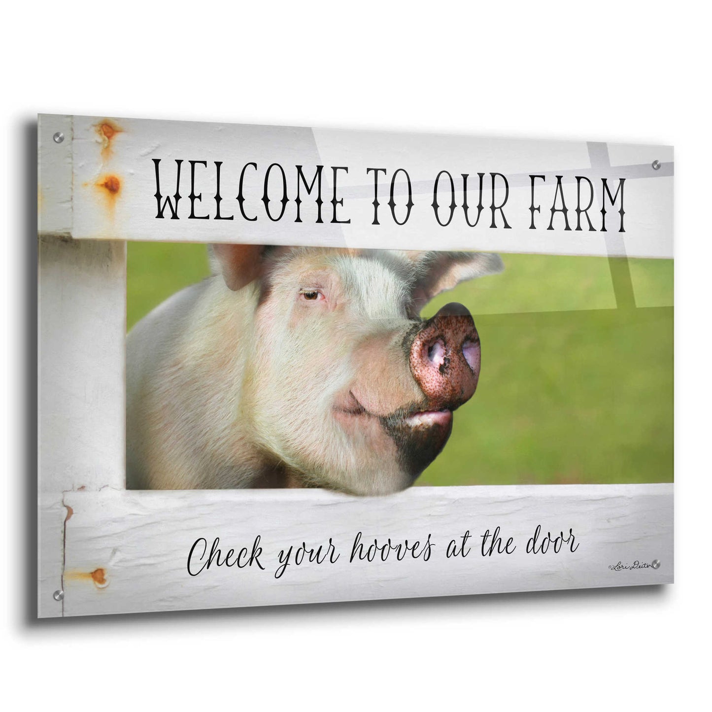 Epic Art 'Welcome Pig' by Lori Deiter Acrylic Glass Wall Art,36x24