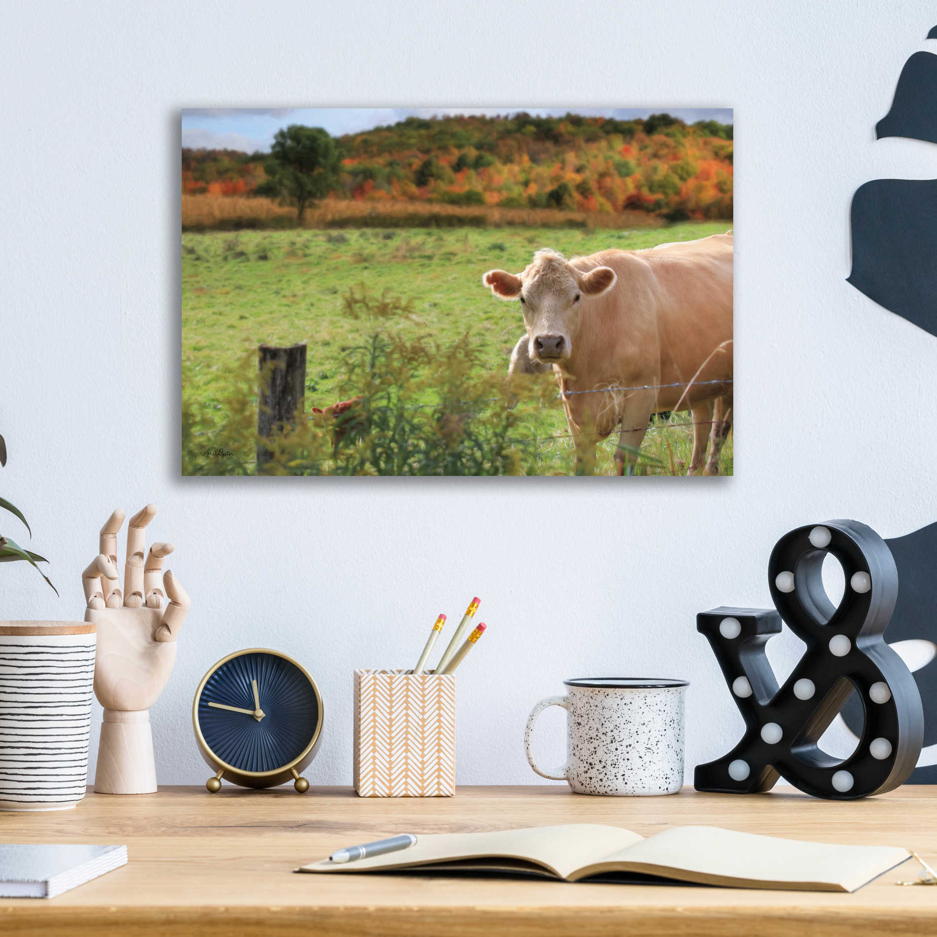 Epic Art 'Fall Cow' by Lori Deiter Acrylic Glass Wall Art,16x12