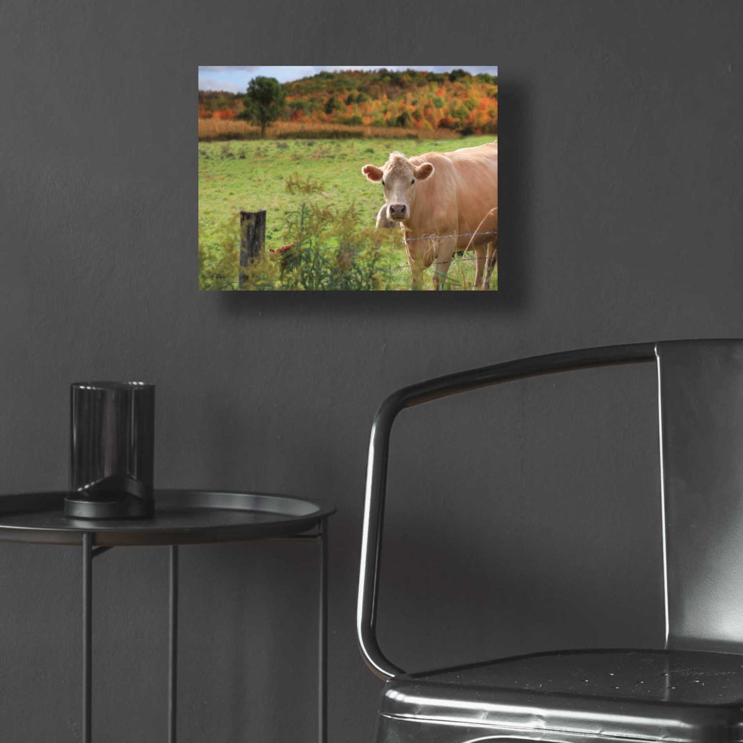 Epic Art 'Fall Cow' by Lori Deiter Acrylic Glass Wall Art,16x12