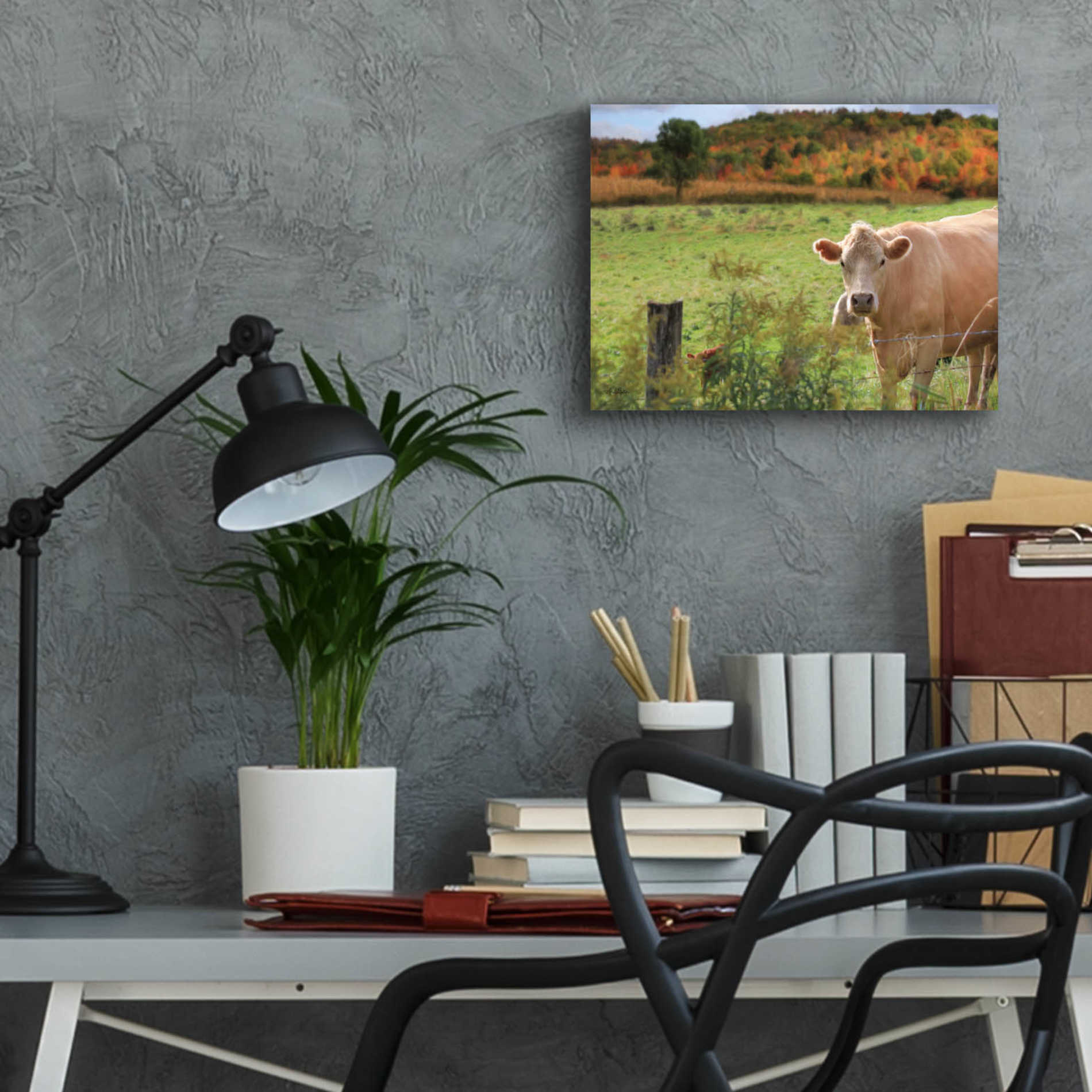 Epic Art 'Fall Cow' by Lori Deiter Acrylic Glass Wall Art,16x12