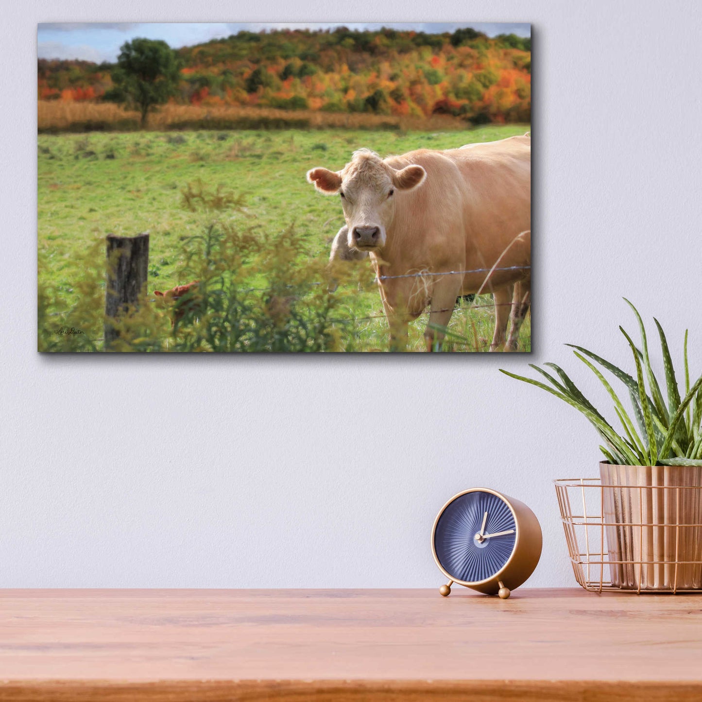 Epic Art 'Fall Cow' by Lori Deiter Acrylic Glass Wall Art,16x12