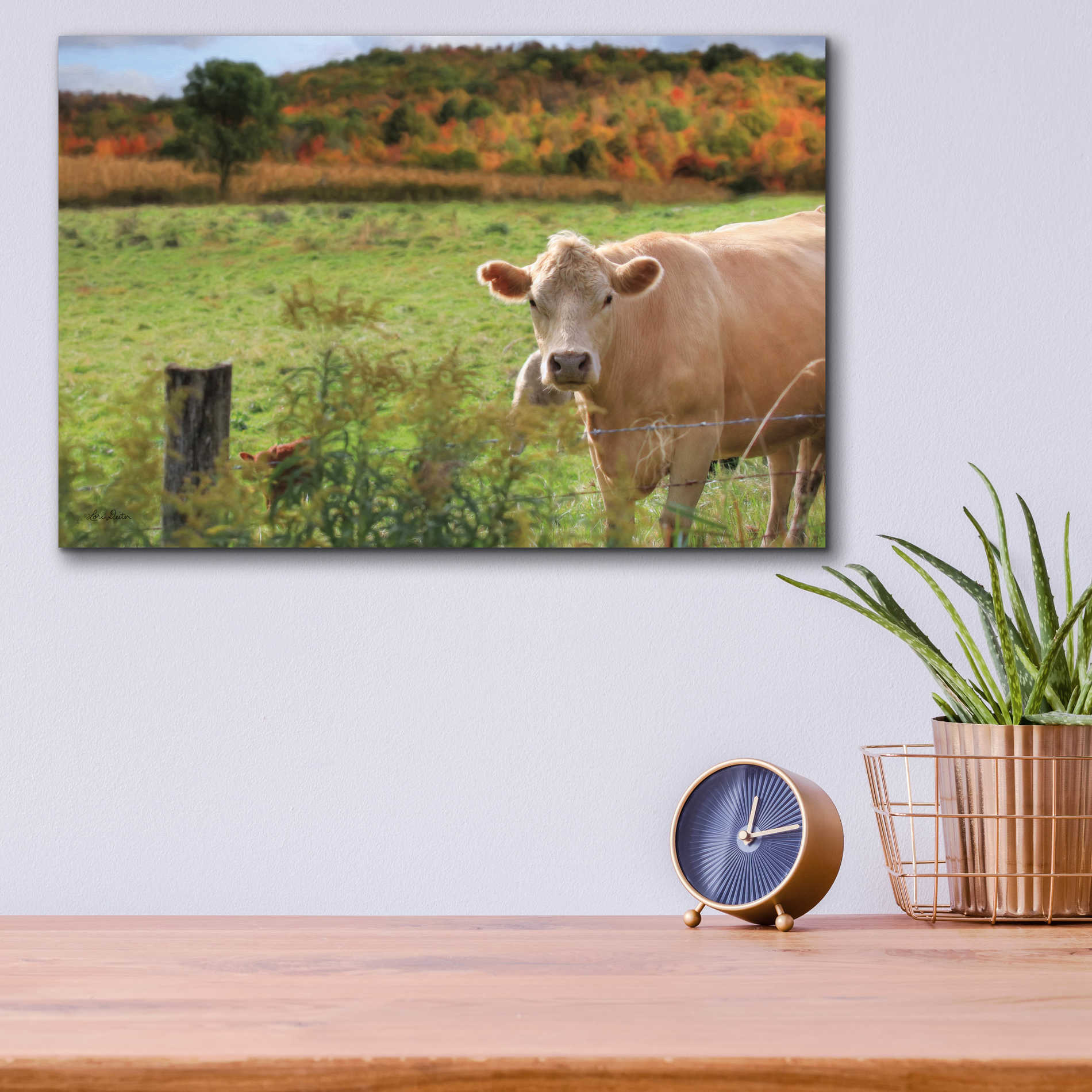 Epic Art 'Fall Cow' by Lori Deiter Acrylic Glass Wall Art,16x12