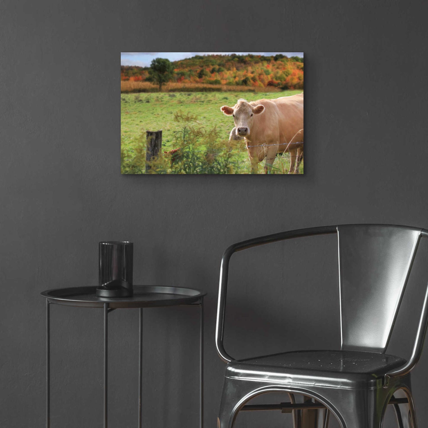 Epic Art 'Fall Cow' by Lori Deiter Acrylic Glass Wall Art,24x16