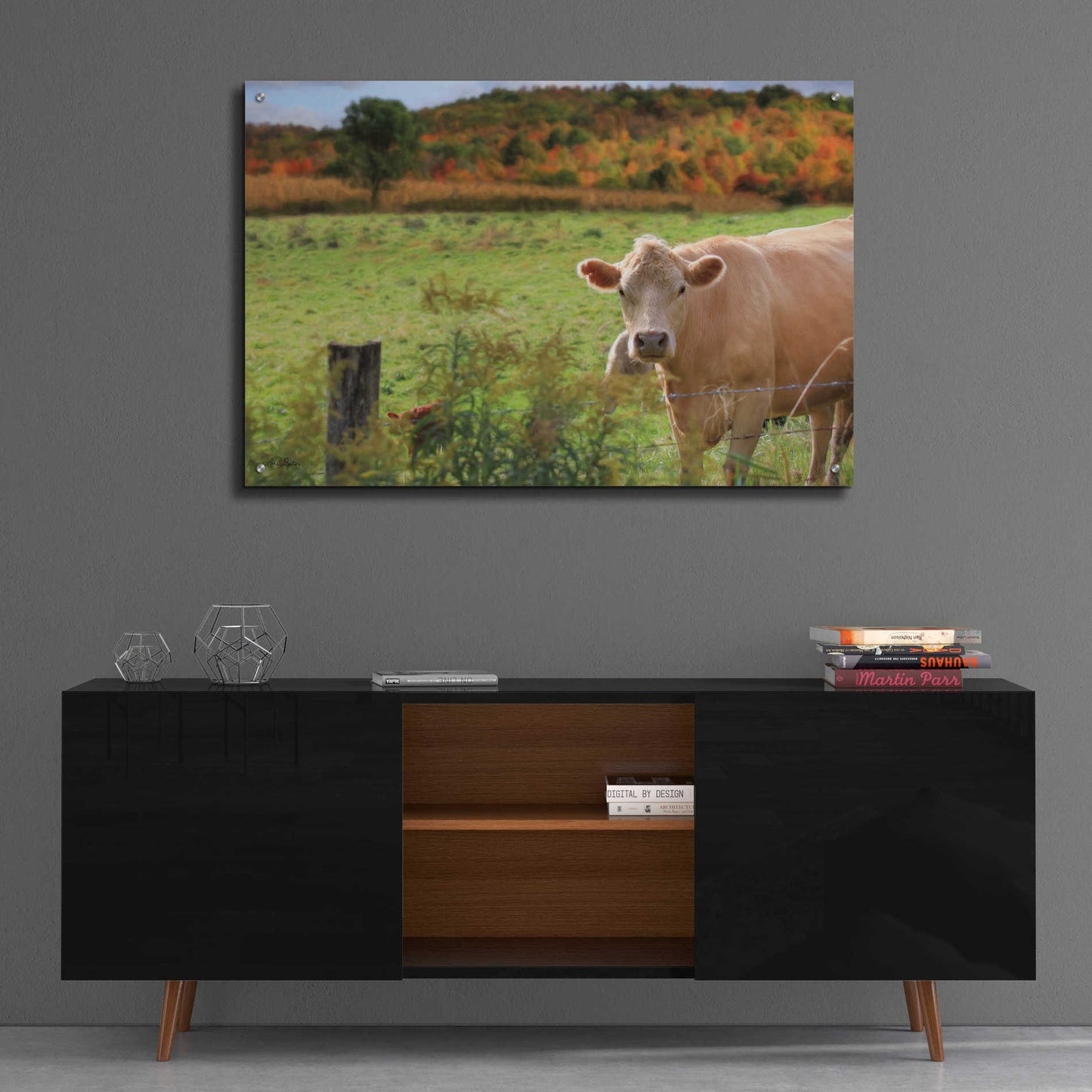 Epic Art 'Fall Cow' by Lori Deiter Acrylic Glass Wall Art,36x24