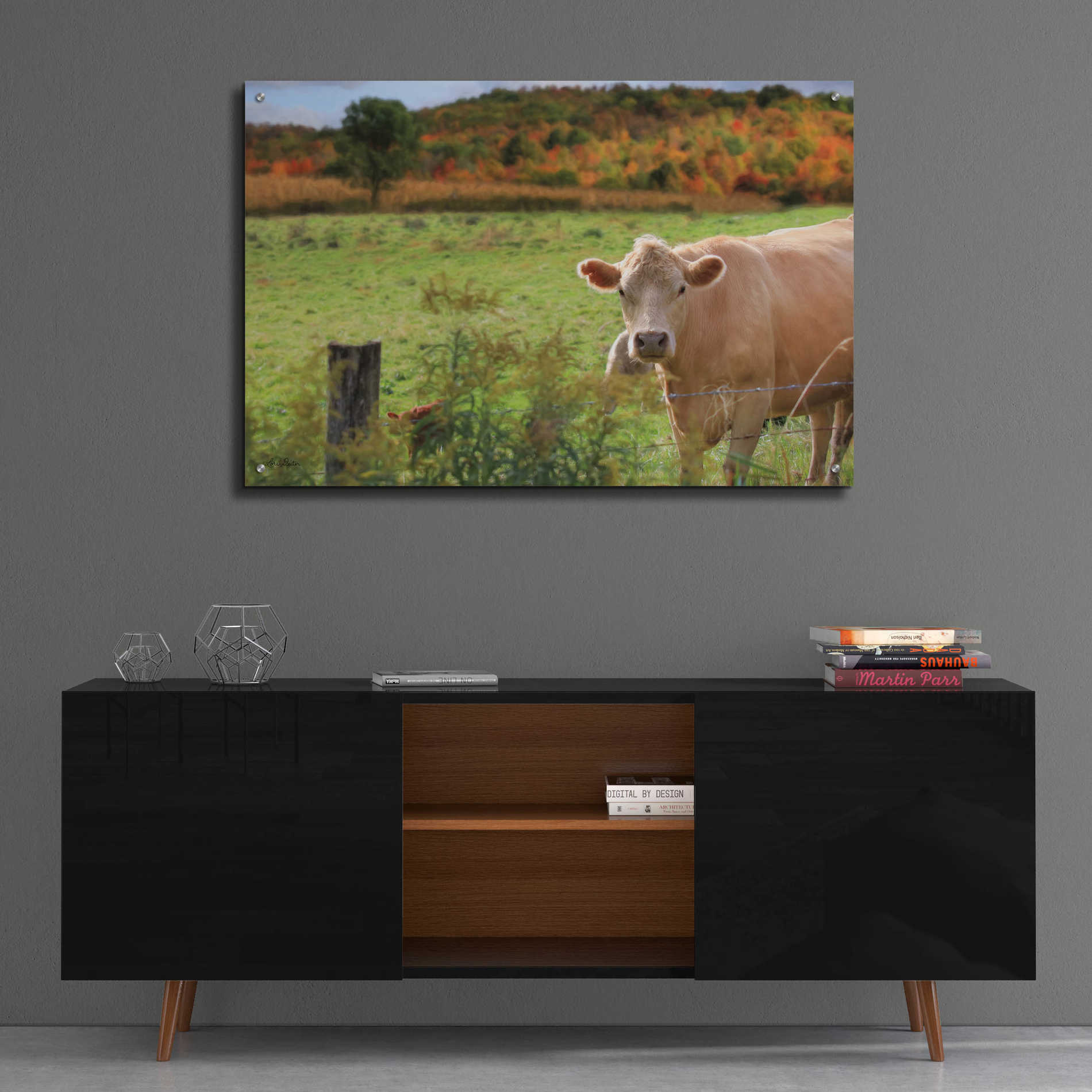 Epic Art 'Fall Cow' by Lori Deiter Acrylic Glass Wall Art,36x24