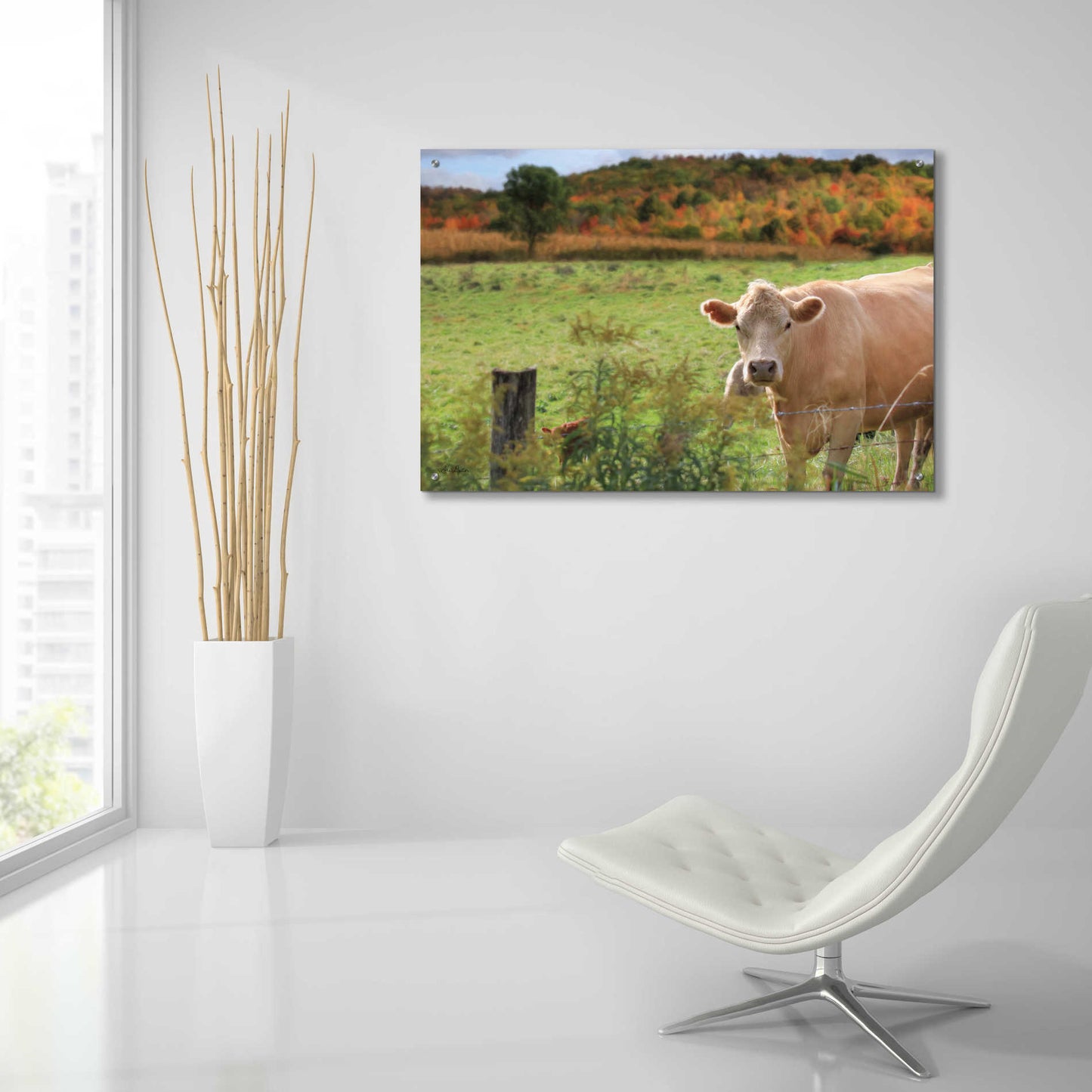 Epic Art 'Fall Cow' by Lori Deiter Acrylic Glass Wall Art,36x24