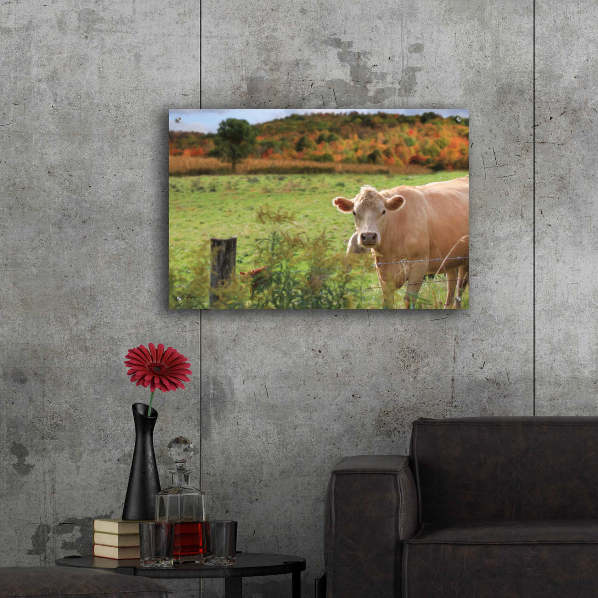 Epic Art 'Fall Cow' by Lori Deiter Acrylic Glass Wall Art,36x24