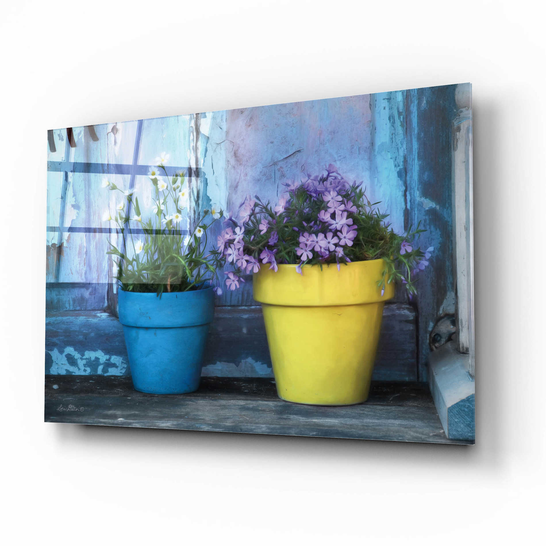 Epic Art 'She Shed Flowers' by Lori Deiter Acrylic Glass Wall Art,16x12