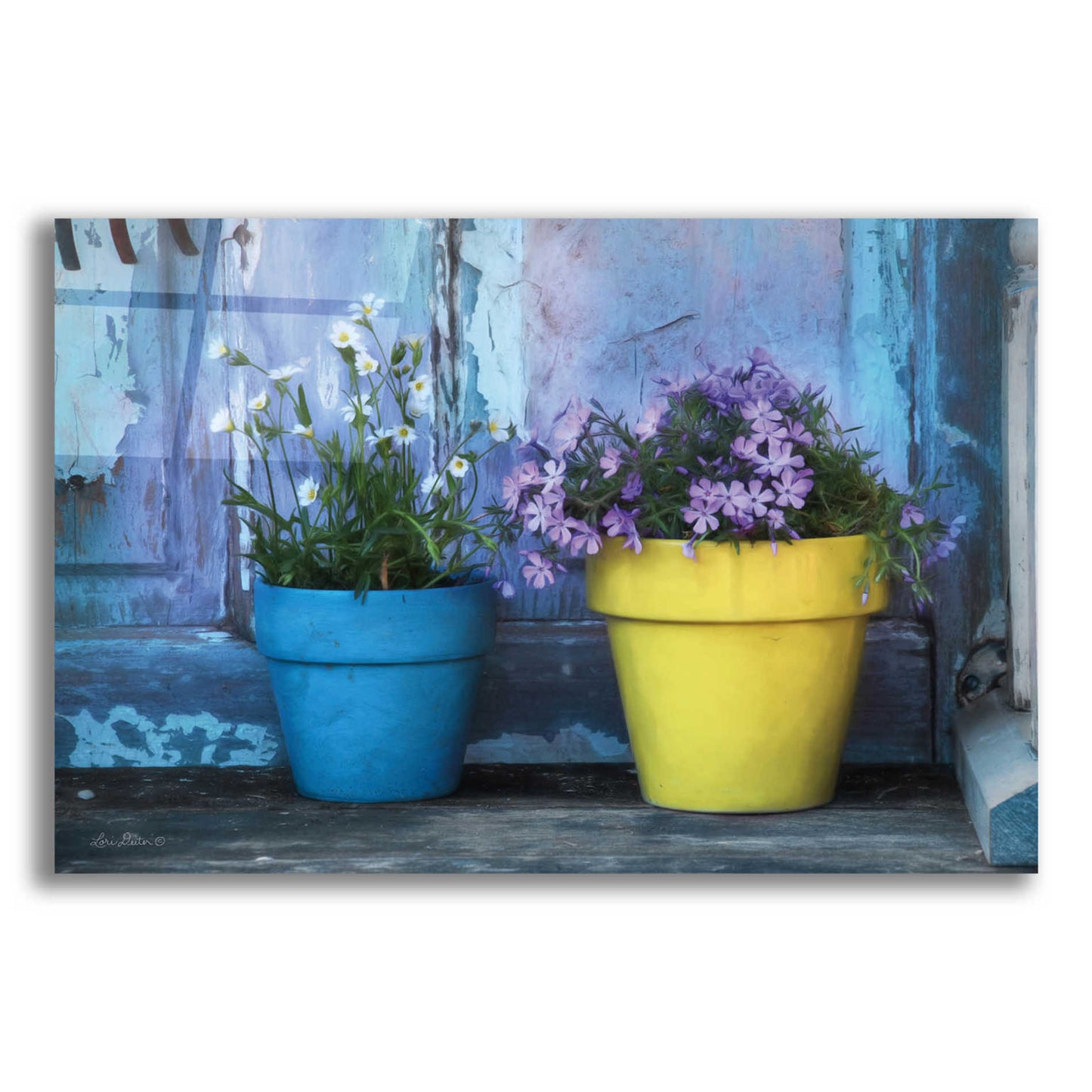 Epic Art 'She Shed Flowers' by Lori Deiter Acrylic Glass Wall Art,16x12