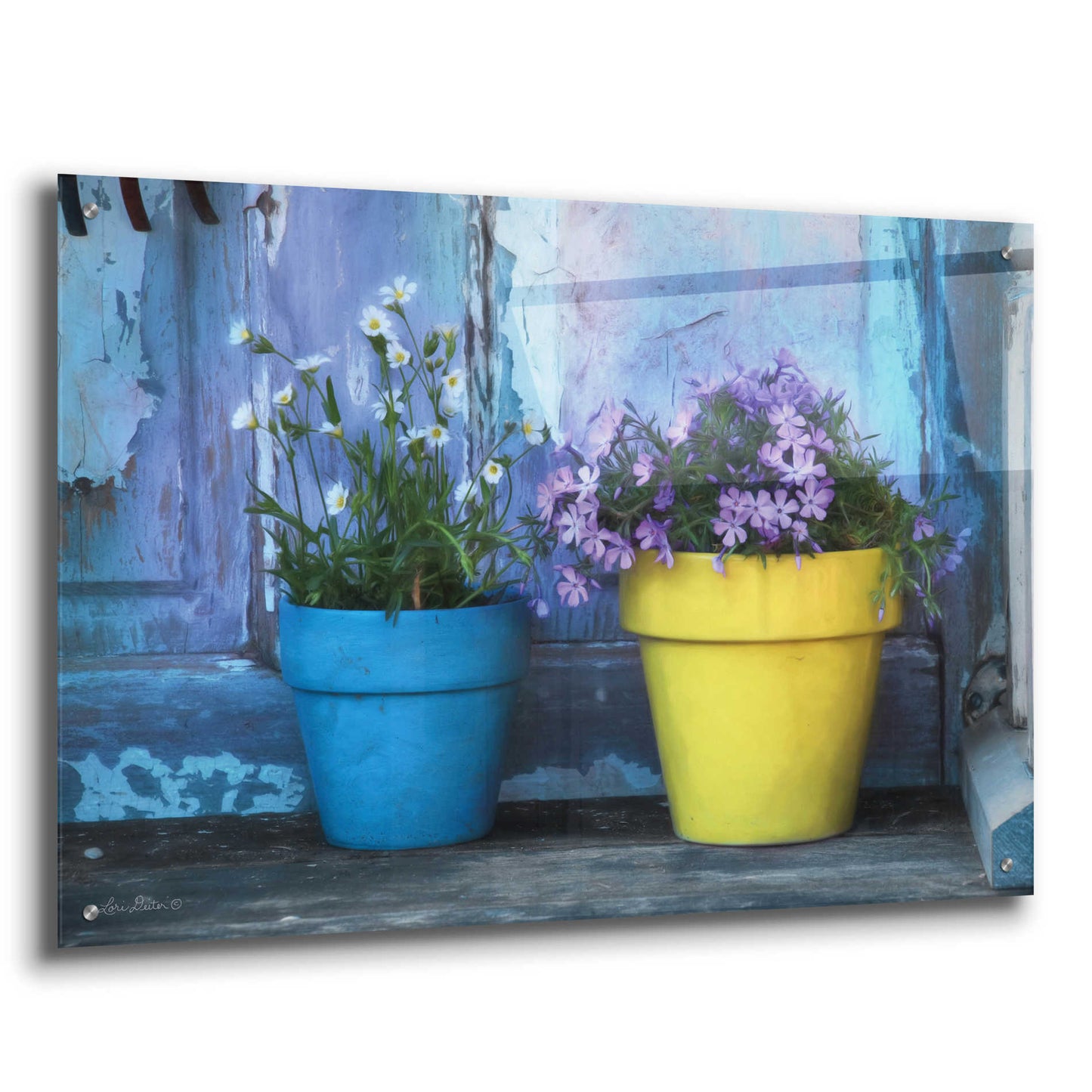 Epic Art 'She Shed Flowers' by Lori Deiter Acrylic Glass Wall Art,36x24