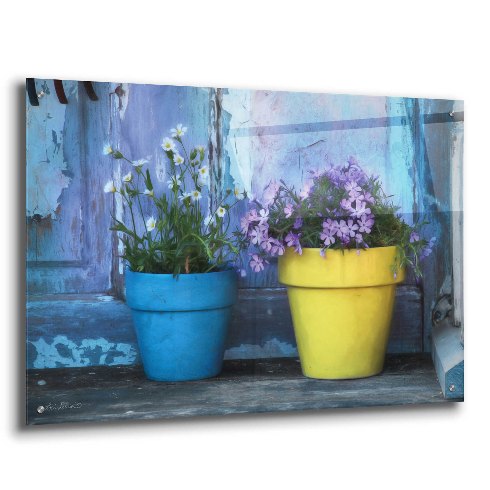 Epic Art 'She Shed Flowers' by Lori Deiter Acrylic Glass Wall Art,36x24