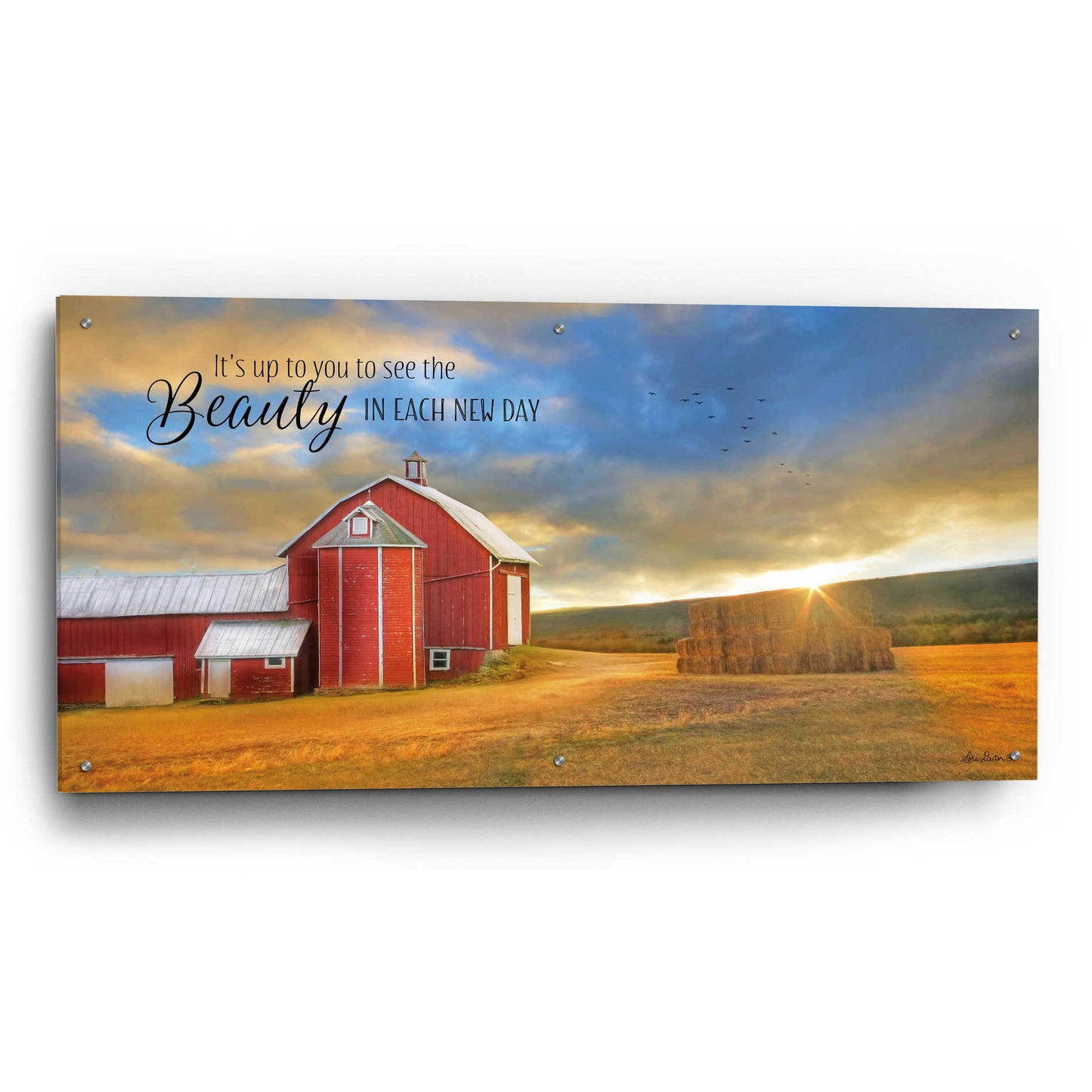 Epic Art 'The Beauty in Each New Day' by Lori Deiter Acrylic Glass Wall Art,48x24