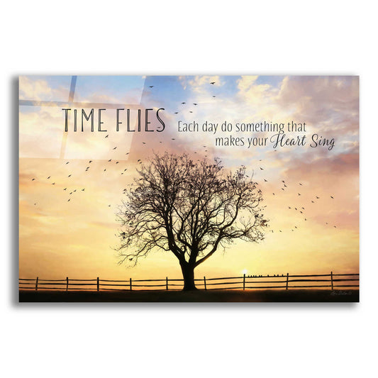 Epic Art 'Time Flies' by Lori Deiter Acrylic Glass Wall Art