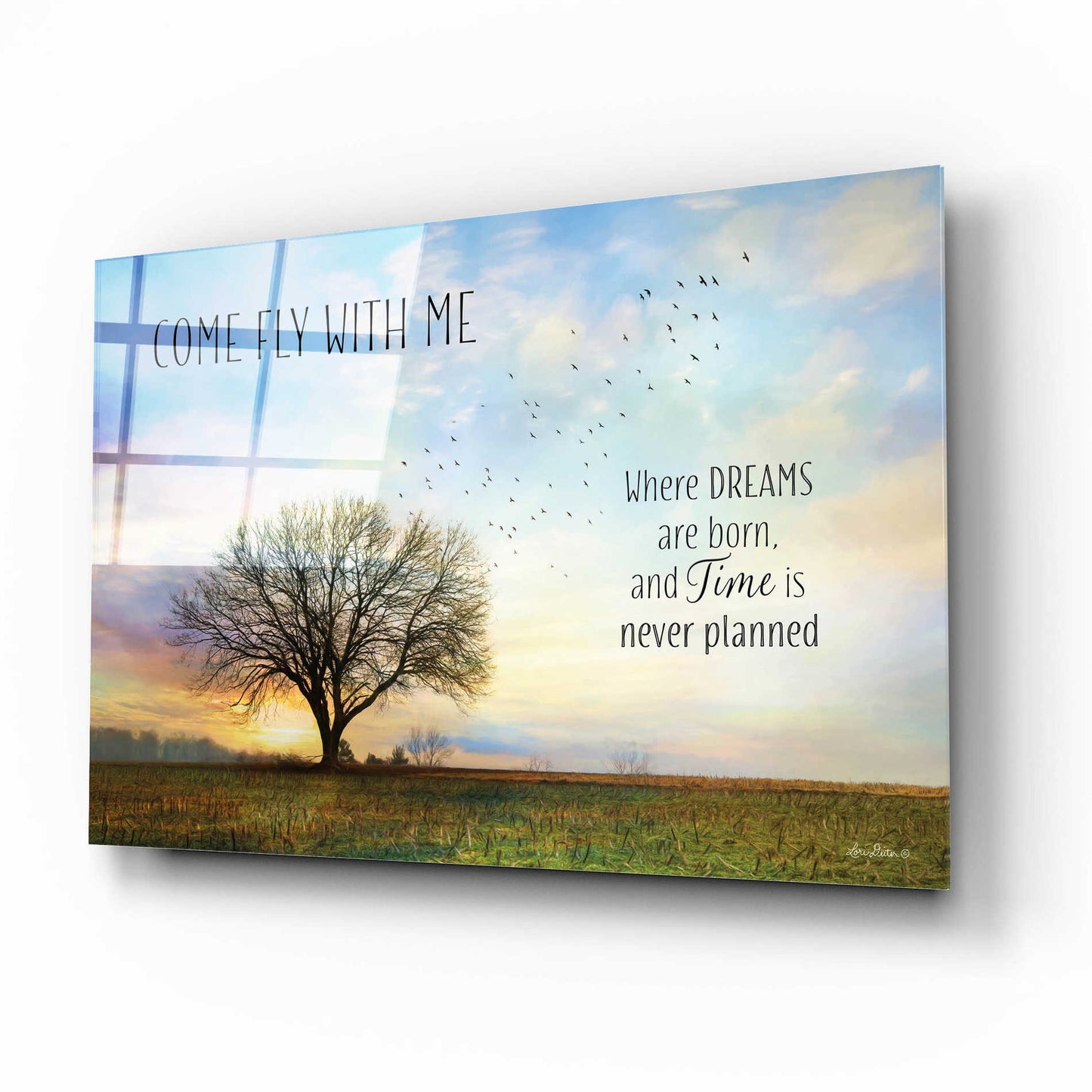 Epic Art 'Come Fly with Me' by Lori Deiter Acrylic Glass Wall Art,16x12