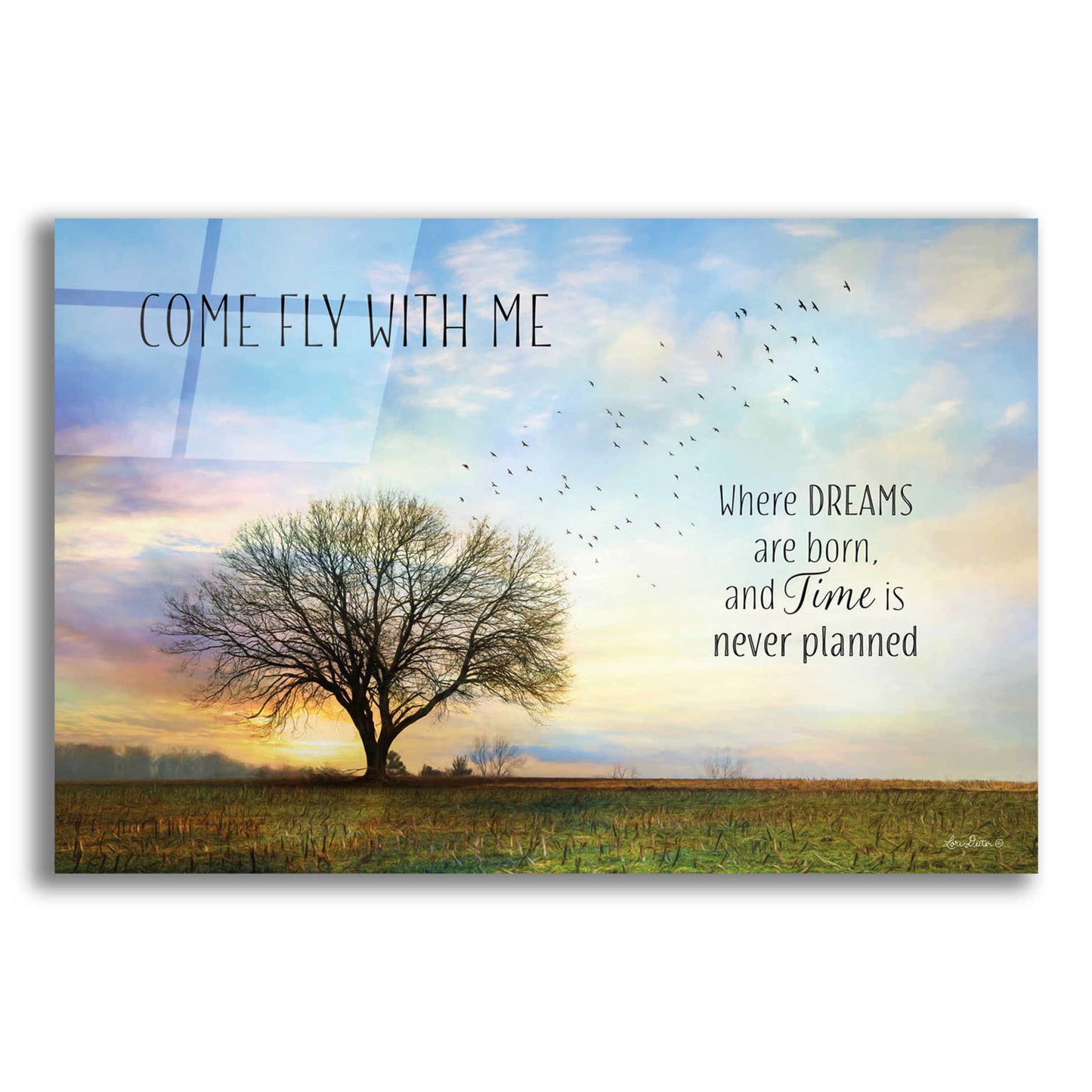 Epic Art 'Come Fly with Me' by Lori Deiter Acrylic Glass Wall Art,16x12