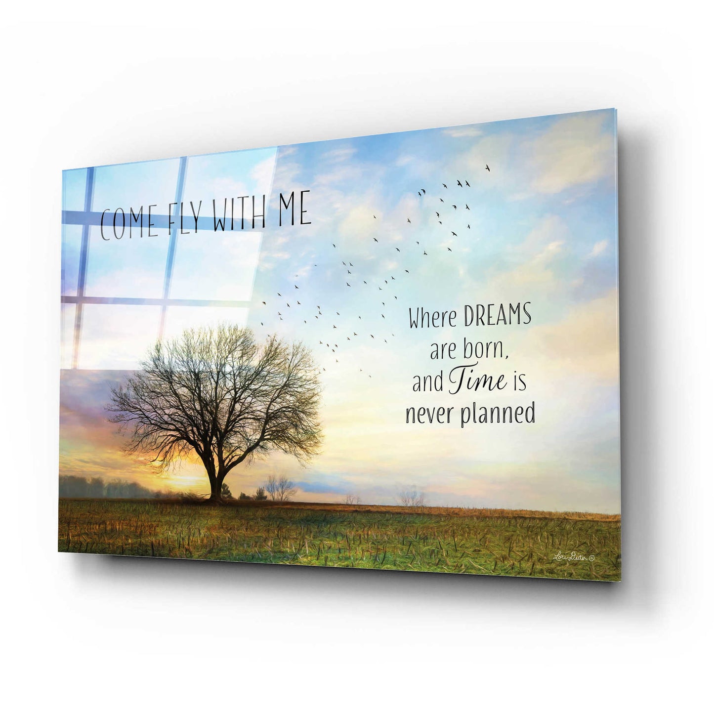 Epic Art 'Come Fly with Me' by Lori Deiter Acrylic Glass Wall Art,24x16