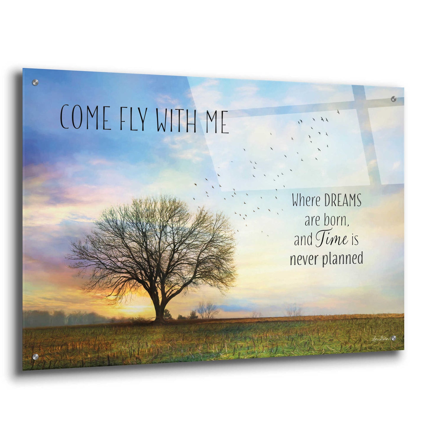 Epic Art 'Come Fly with Me' by Lori Deiter Acrylic Glass Wall Art,36x24