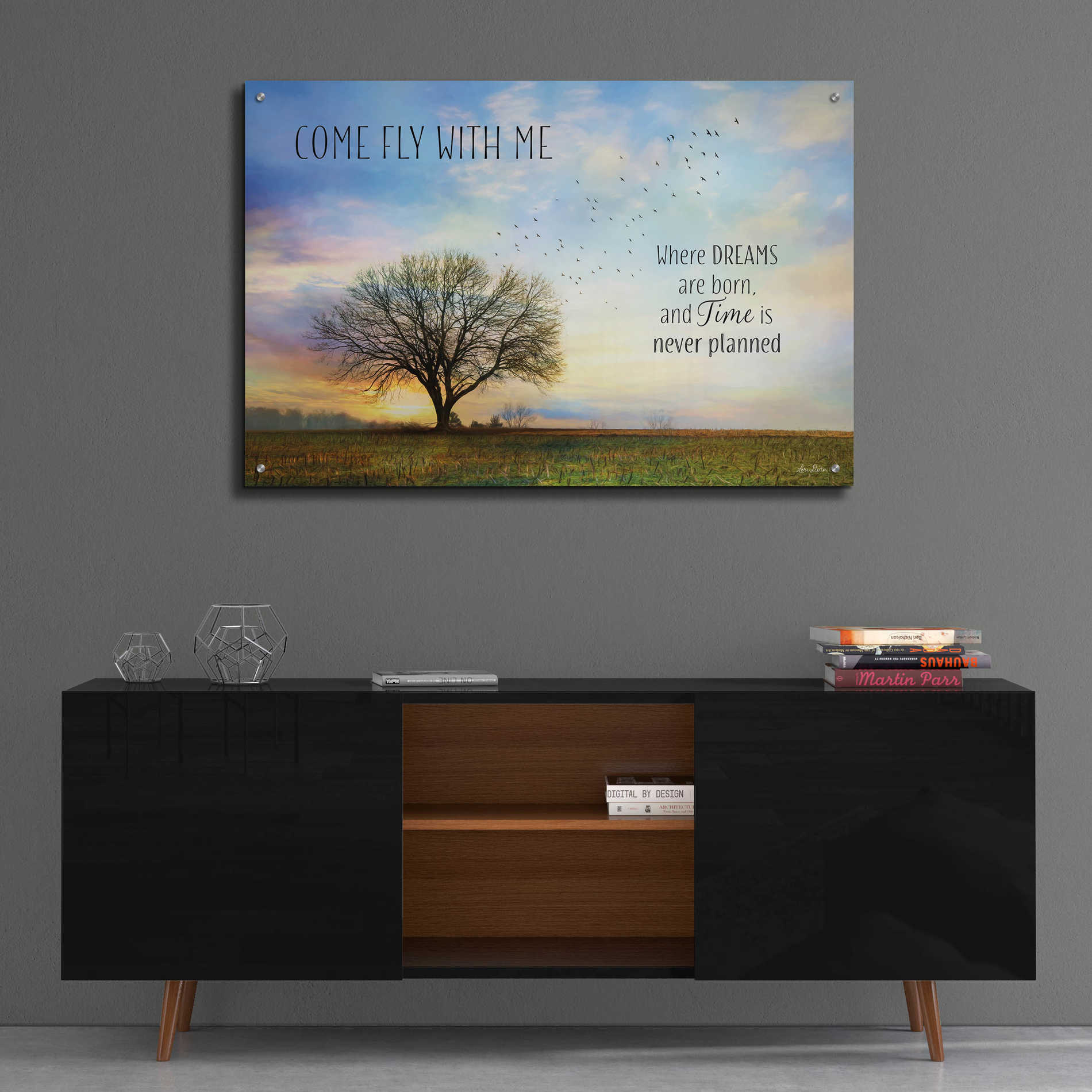 Epic Art 'Come Fly with Me' by Lori Deiter Acrylic Glass Wall Art,36x24