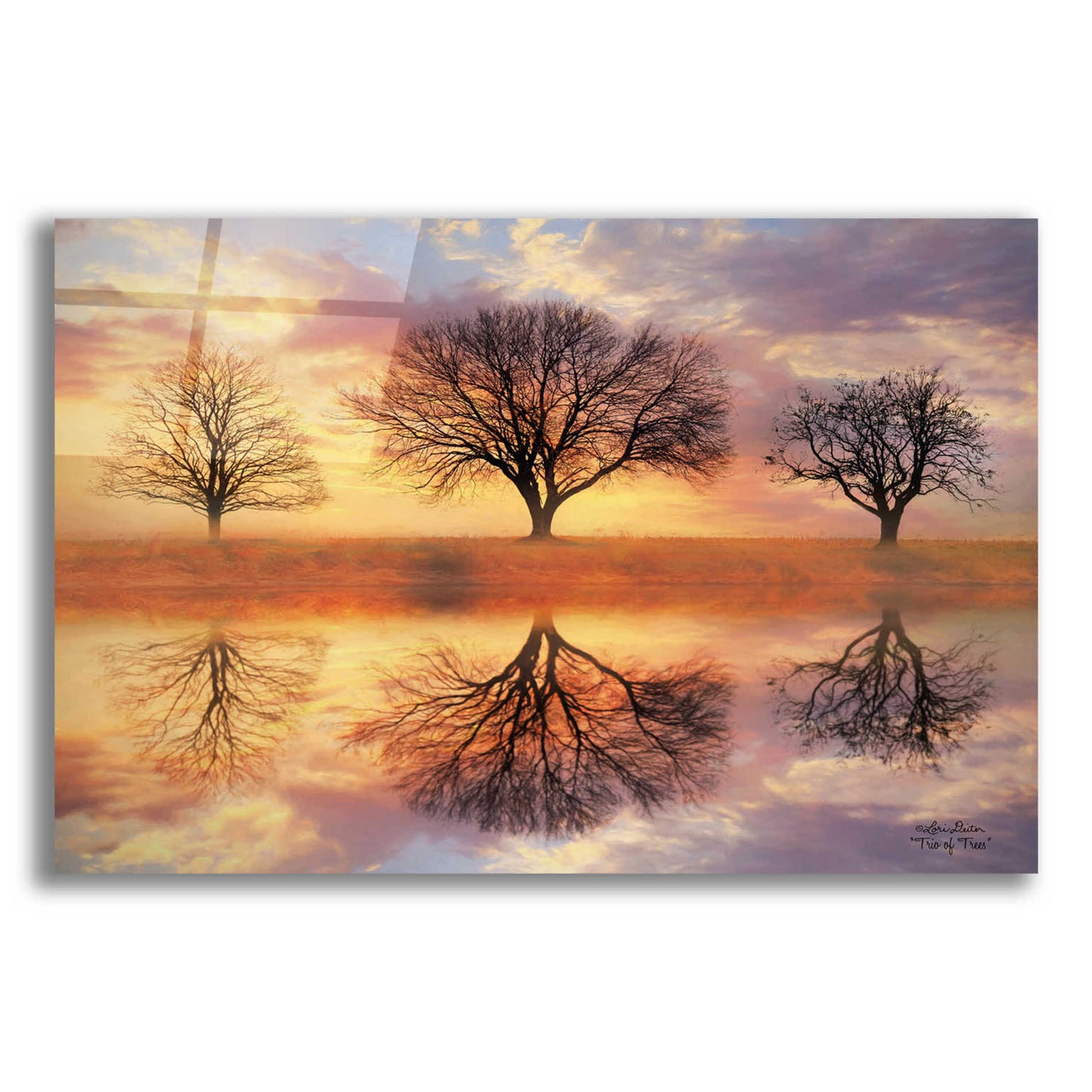 Epic Art 'Trio of Trees' by Lori Deiter Acrylic Glass Wall Art,16x12