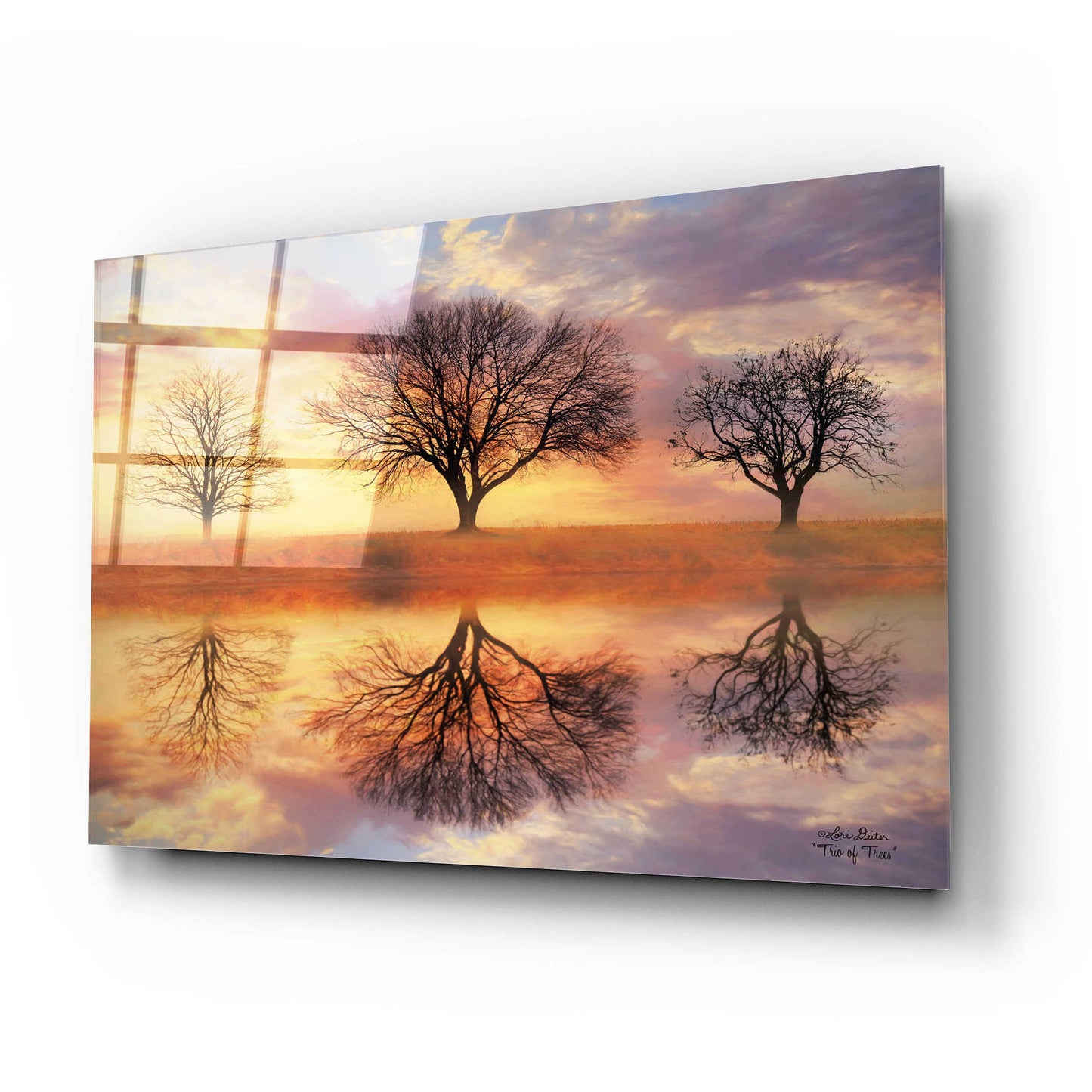 Epic Art 'Trio of Trees' by Lori Deiter Acrylic Glass Wall Art,24x16