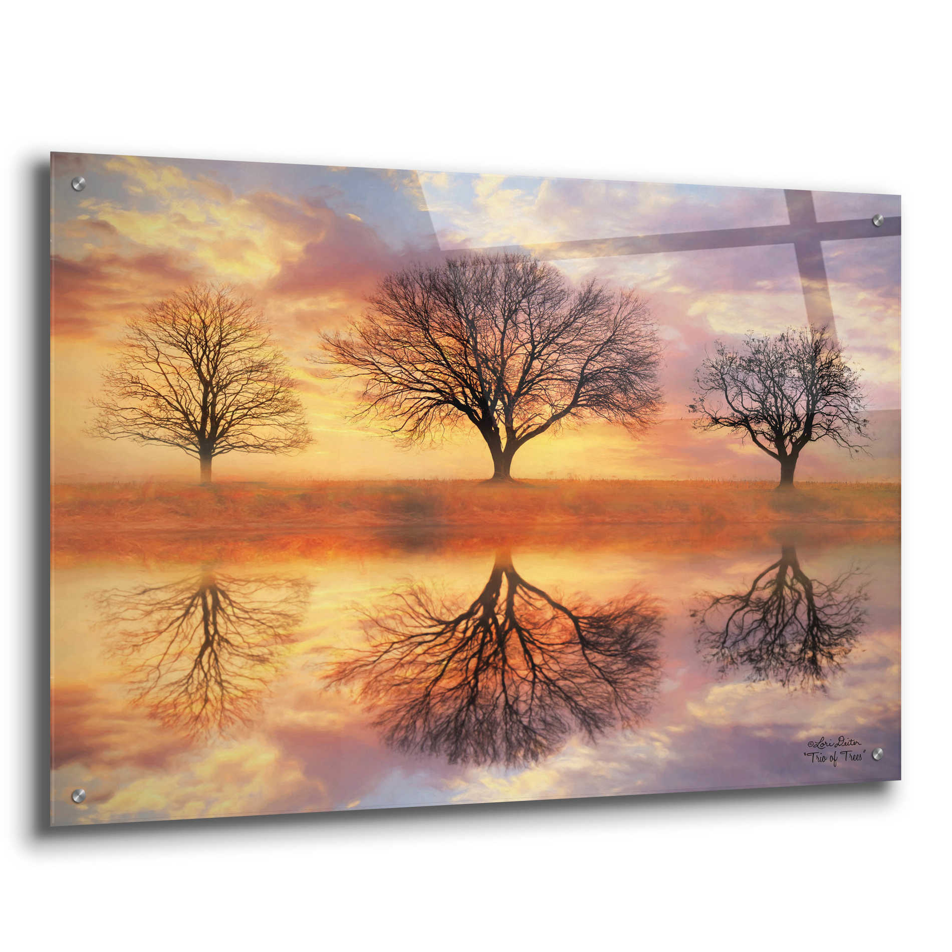 Epic Art 'Trio of Trees' by Lori Deiter Acrylic Glass Wall Art,36x24