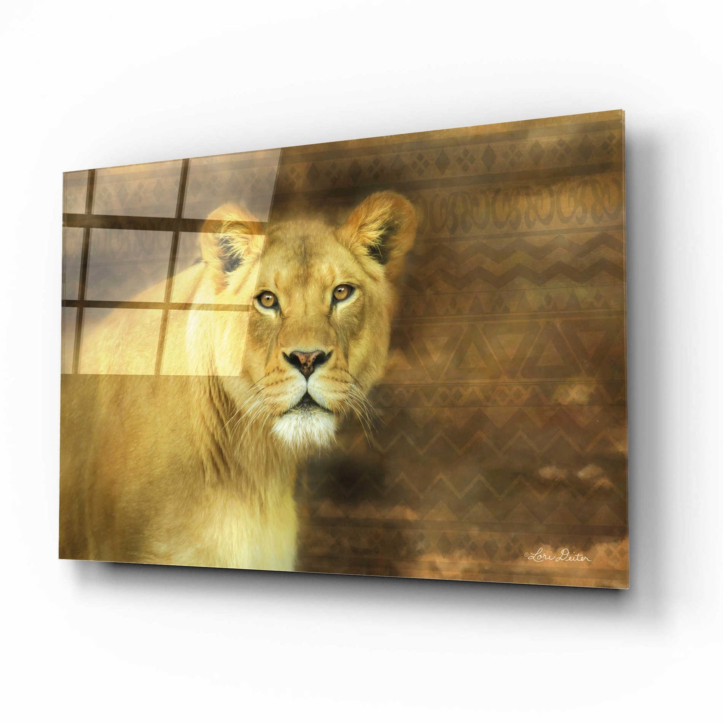 Epic Art 'Tribal Lioness' by Lori Deiter Acrylic Glass Wall Art,16x12