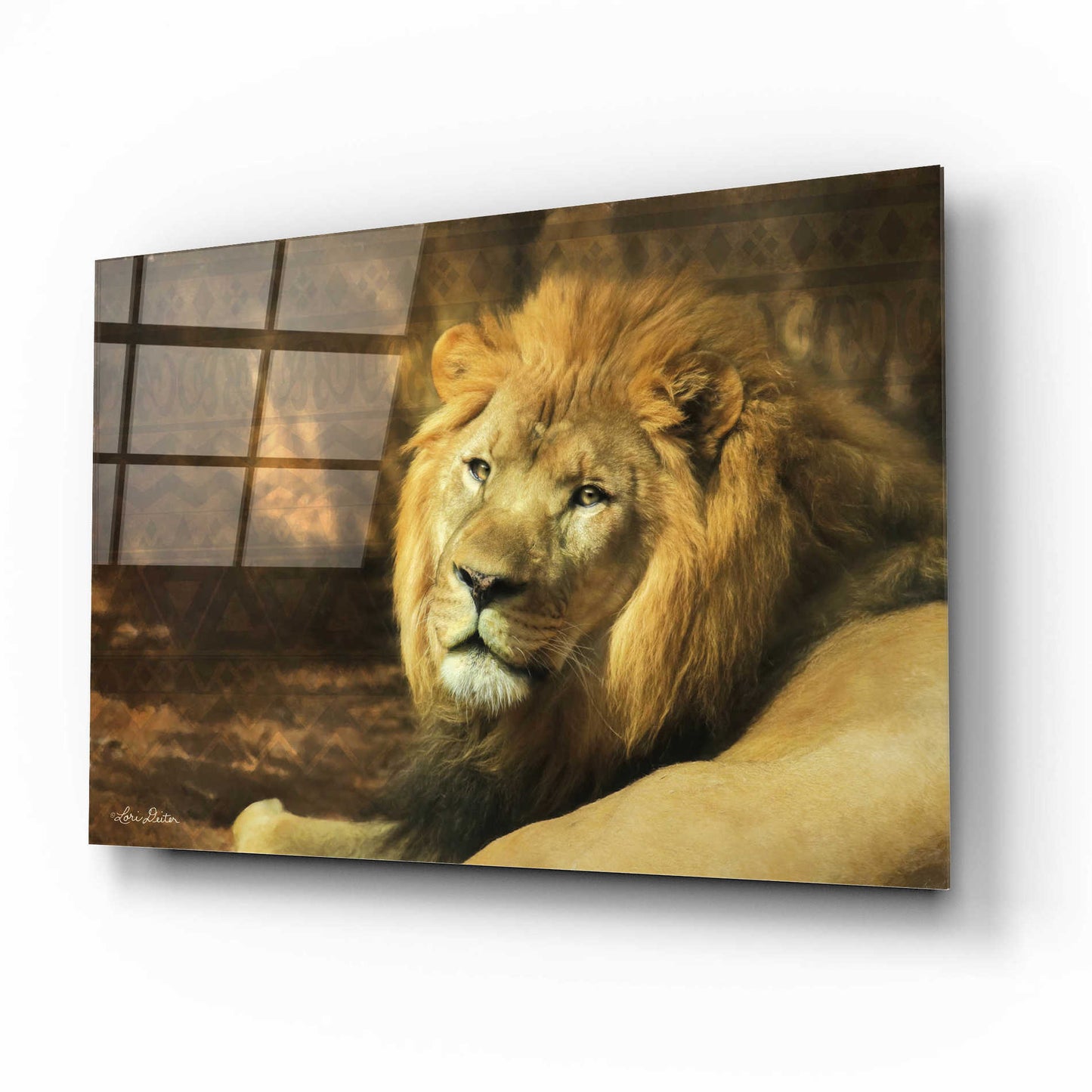 Epic Art 'Tribal Lion' by Lori Deiter Acrylic Glass Wall Art,16x12