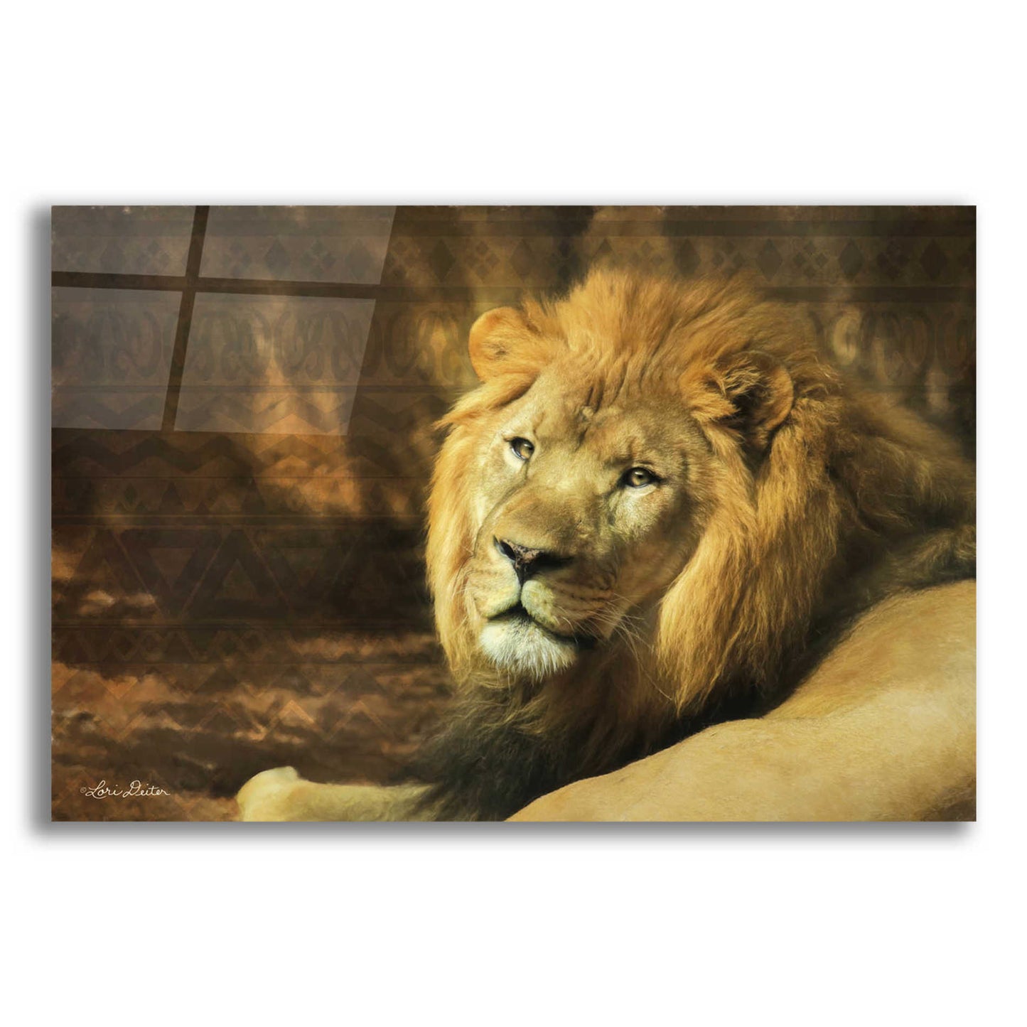 Epic Art 'Tribal Lion' by Lori Deiter Acrylic Glass Wall Art,16x12