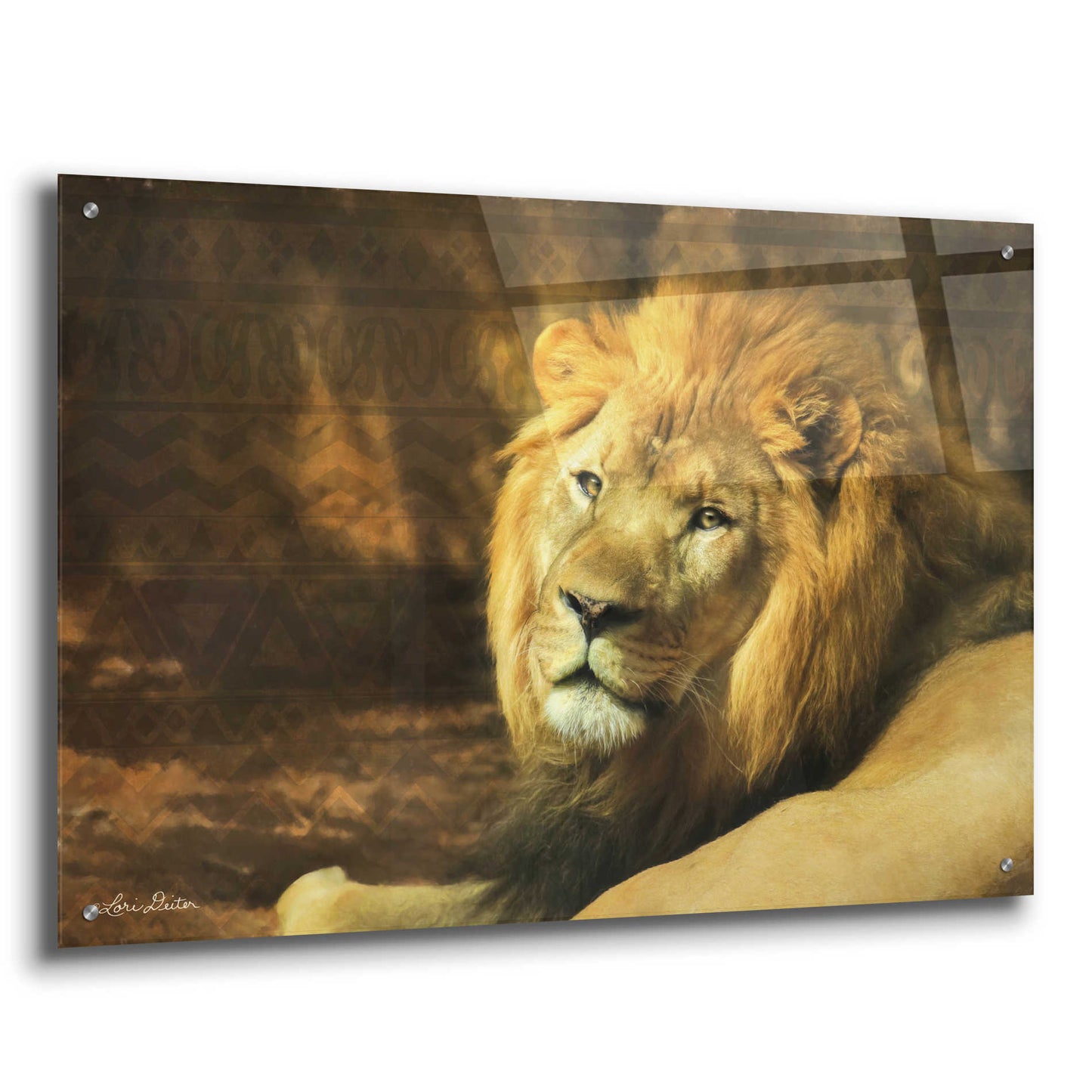 Epic Art 'Tribal Lion' by Lori Deiter Acrylic Glass Wall Art,36x24