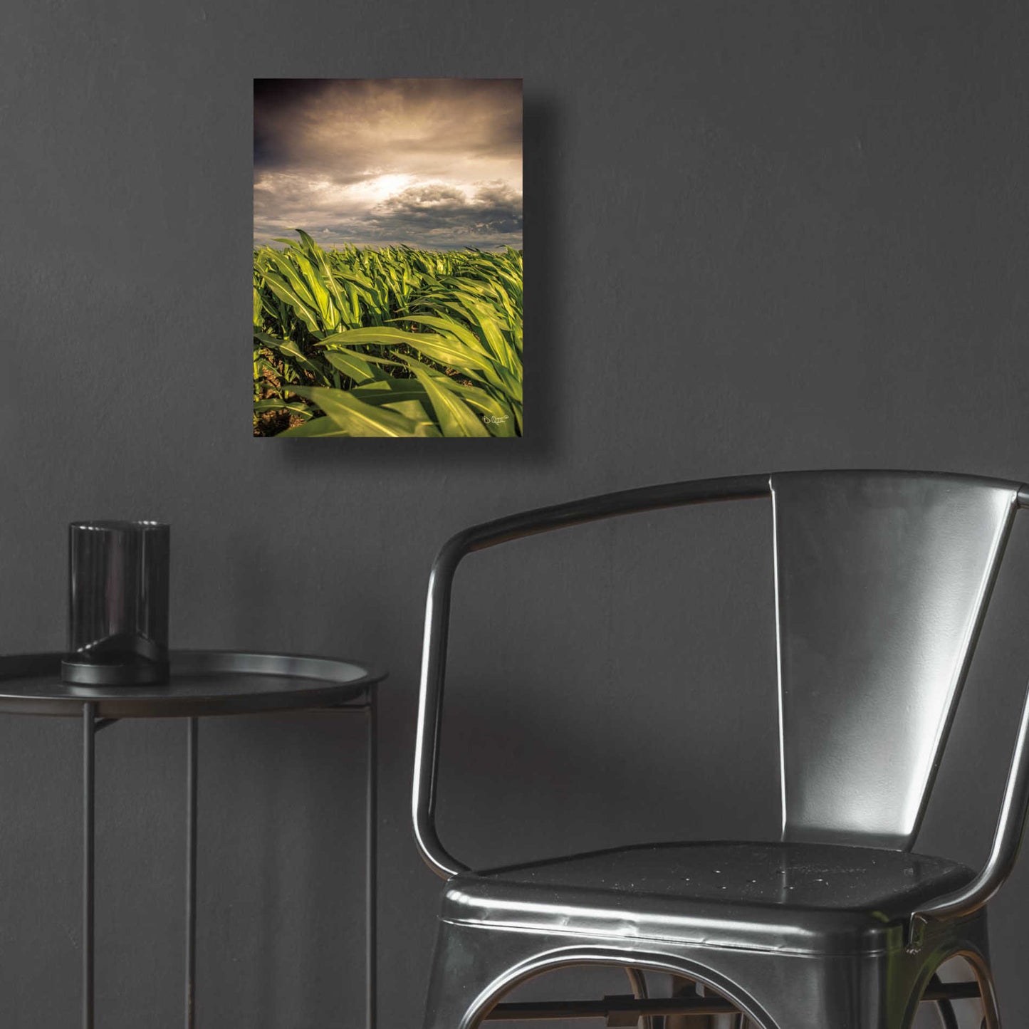 Epic Art 'Field of Corn' by Donnie Quillen, Acrylic Glass Wall Art,12x16