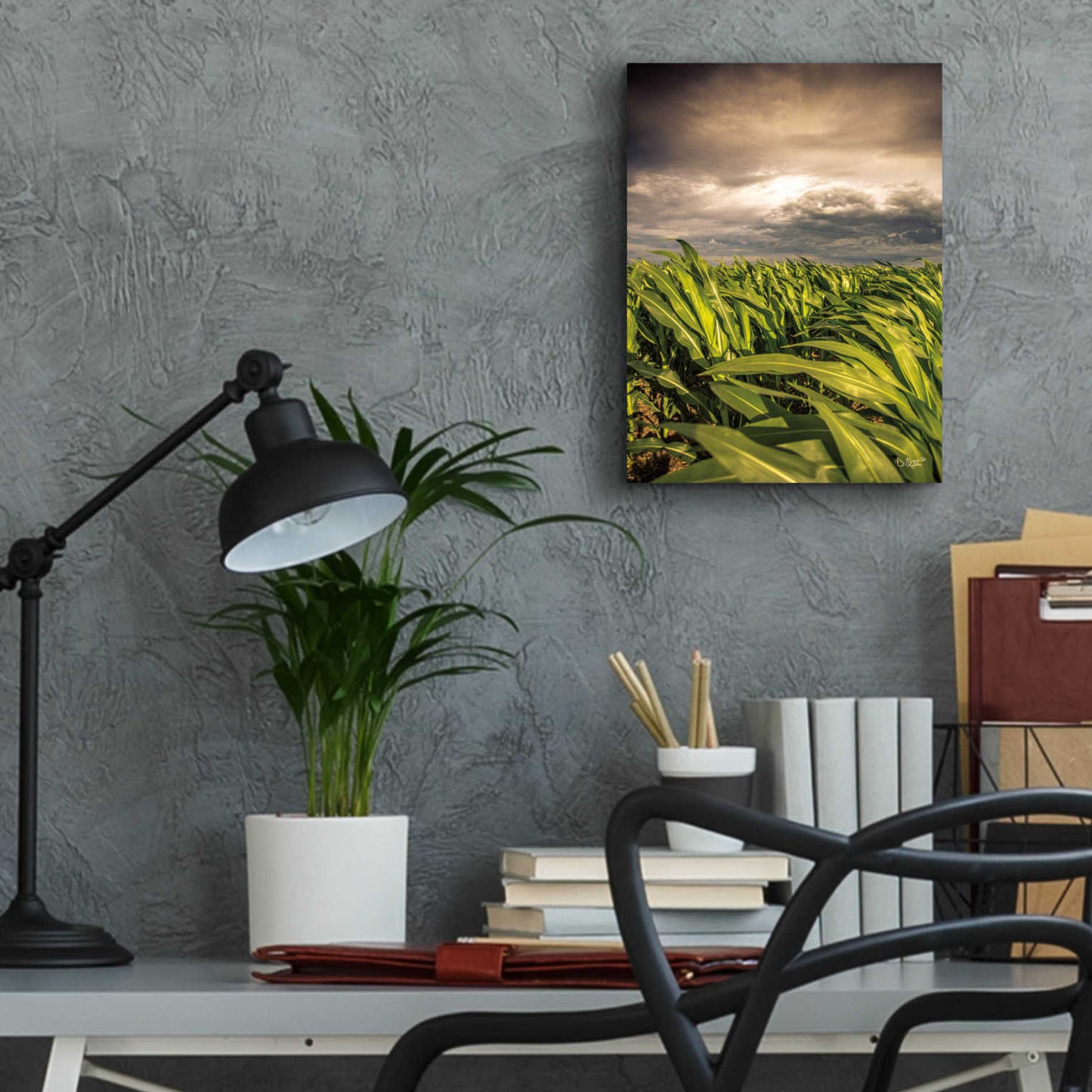 Epic Art 'Field of Corn' by Donnie Quillen, Acrylic Glass Wall Art,12x16