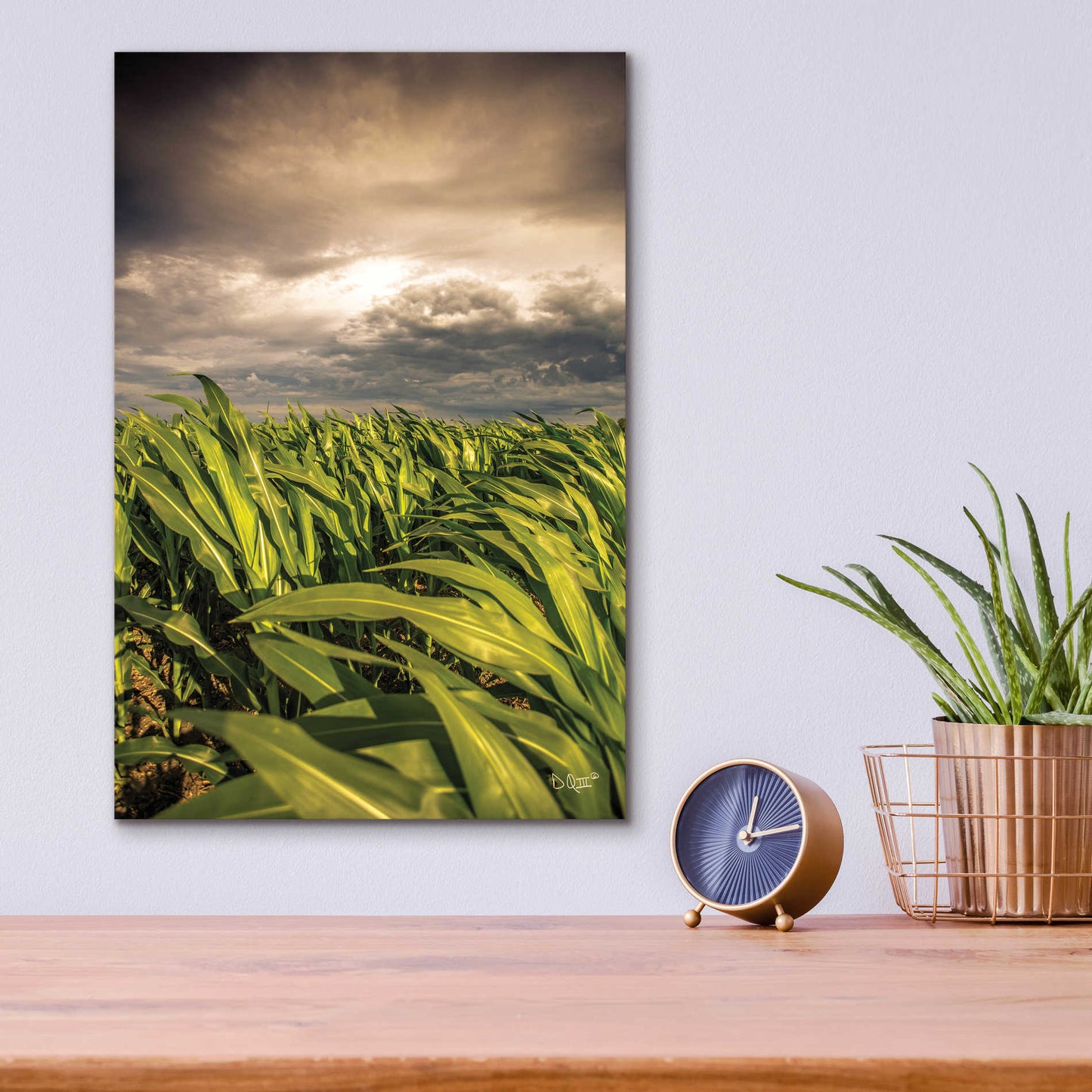 Epic Art 'Field of Corn' by Donnie Quillen, Acrylic Glass Wall Art,12x16