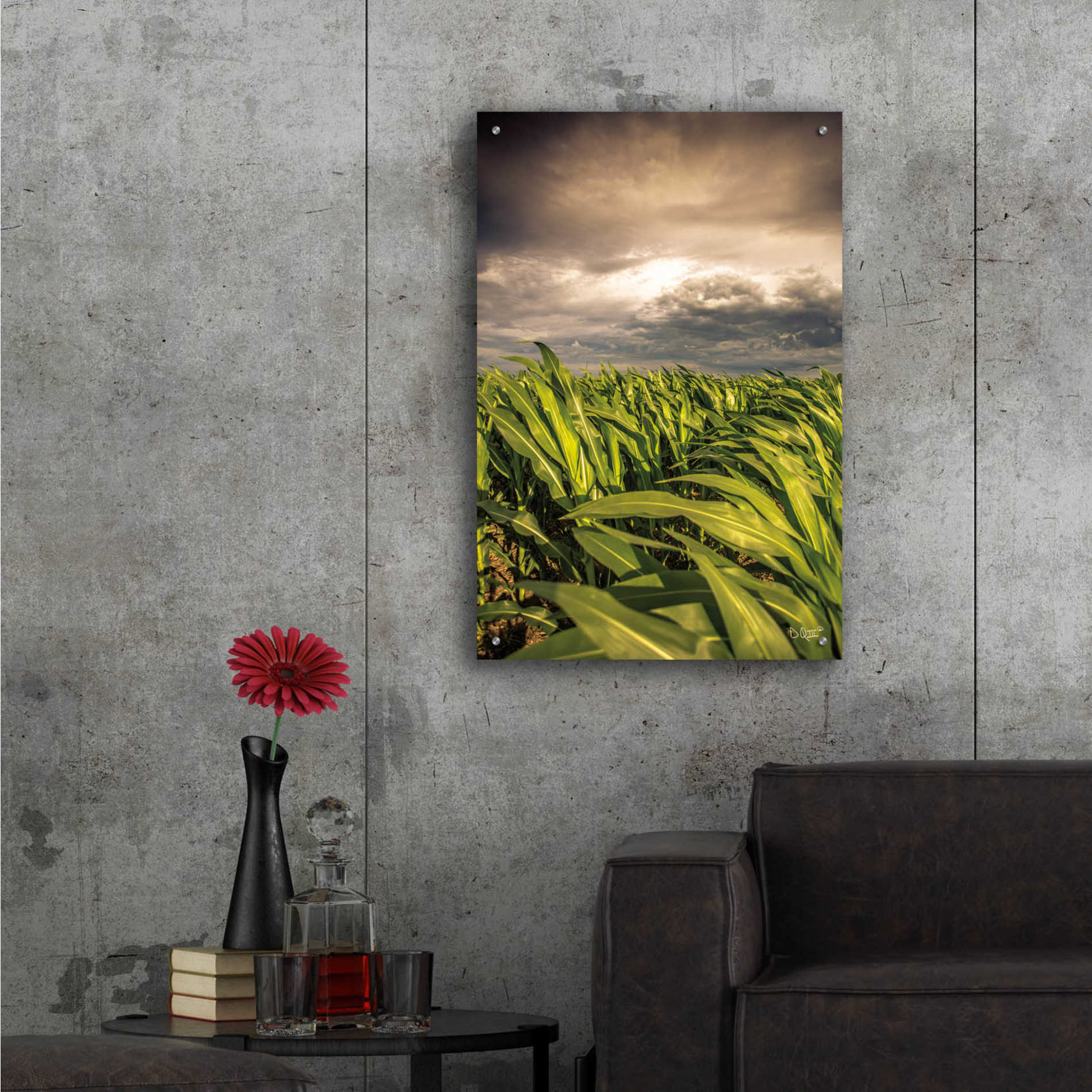 Epic Art 'Field of Corn' by Donnie Quillen, Acrylic Glass Wall Art,24x36