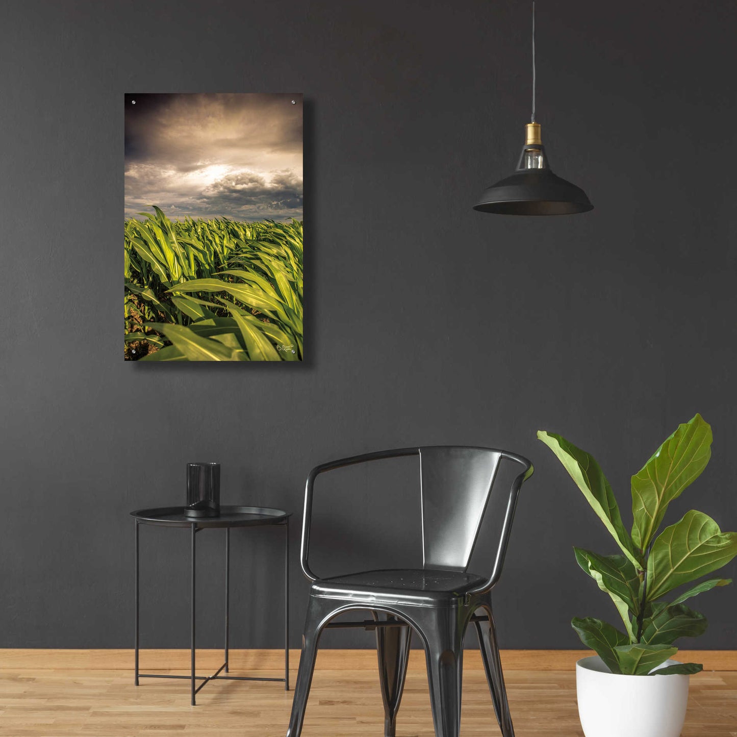 Epic Art 'Field of Corn' by Donnie Quillen, Acrylic Glass Wall Art,24x36