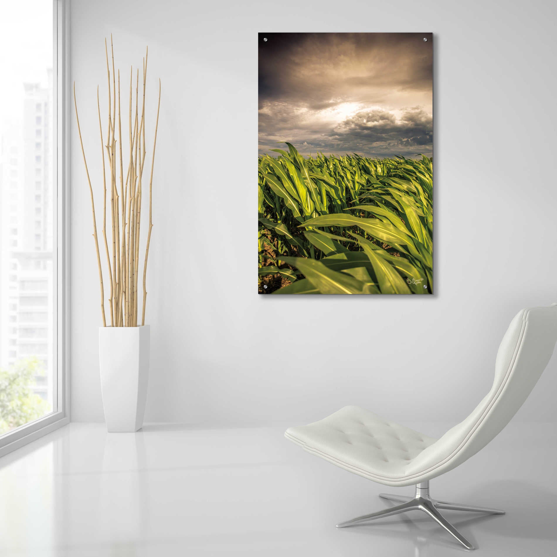 Epic Art 'Field of Corn' by Donnie Quillen, Acrylic Glass Wall Art,24x36